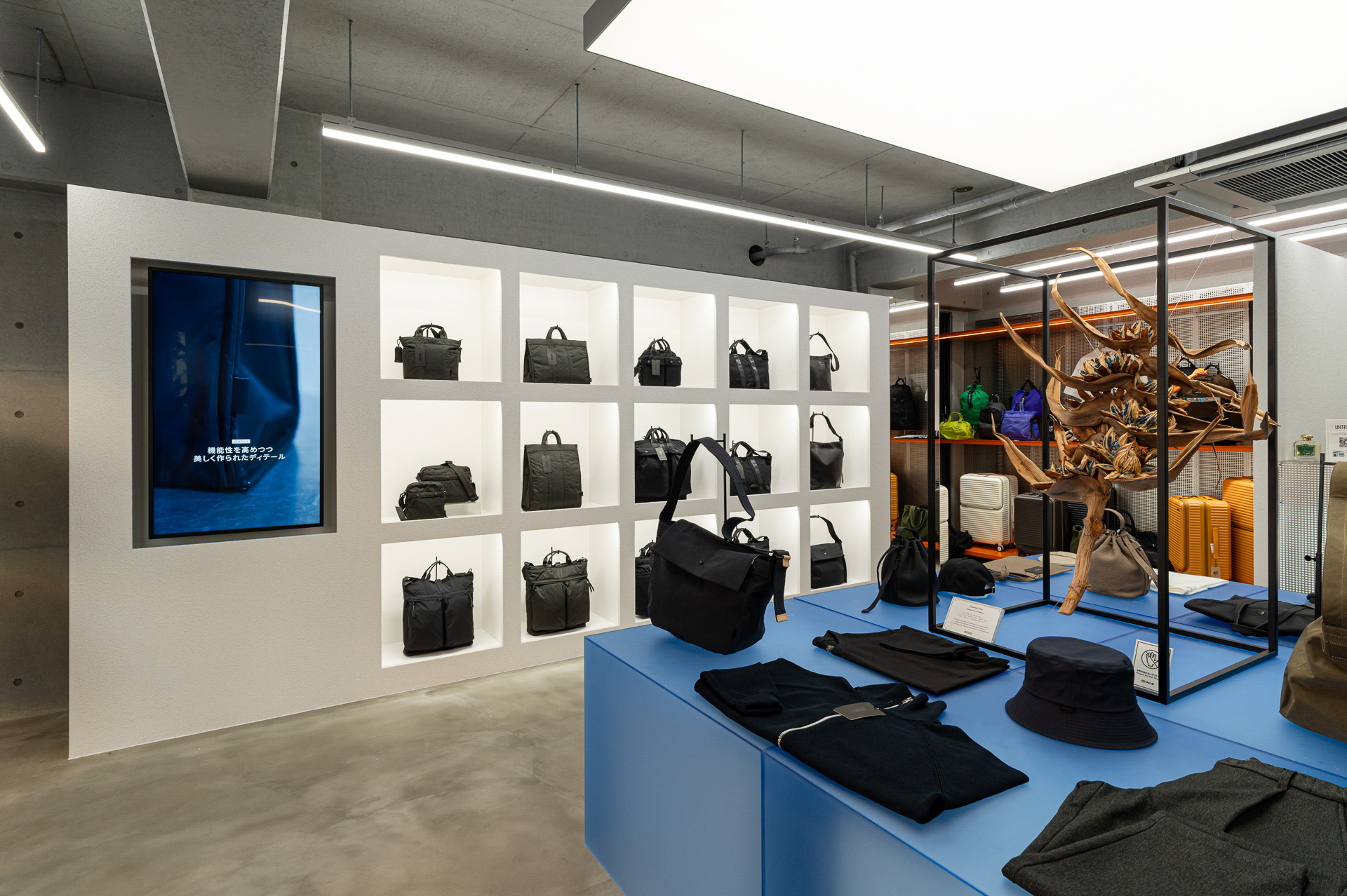 店舗外観、店内の様子（写真提供：エース）