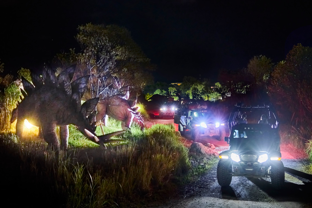 DINOSAUR SAFARI （Night Ver.）