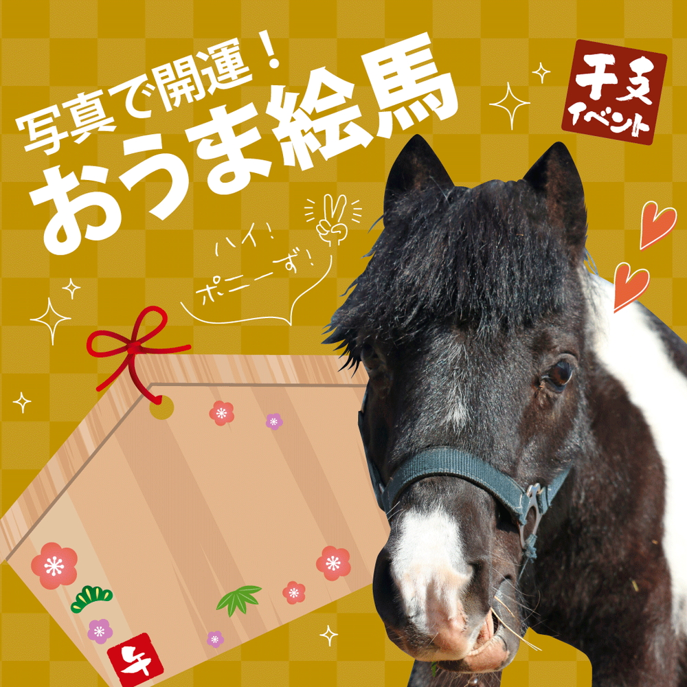 写真で開運！おうま絵馬
