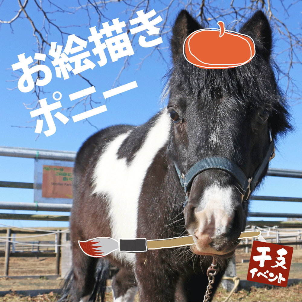 お絵描きポニー
