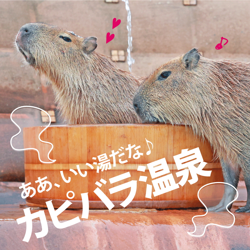カピバラ温泉