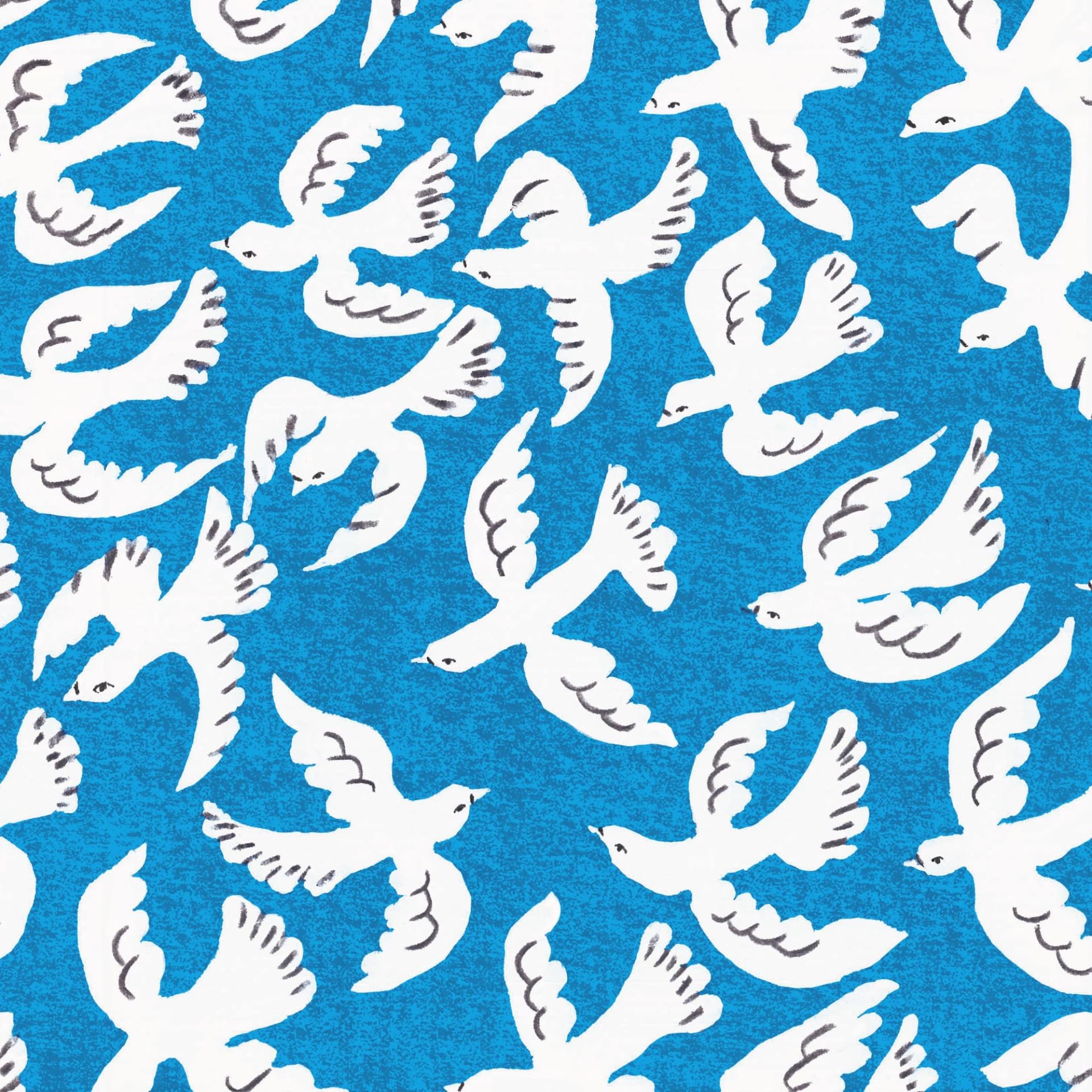 「hope flight 希望飛行」（スモーク）