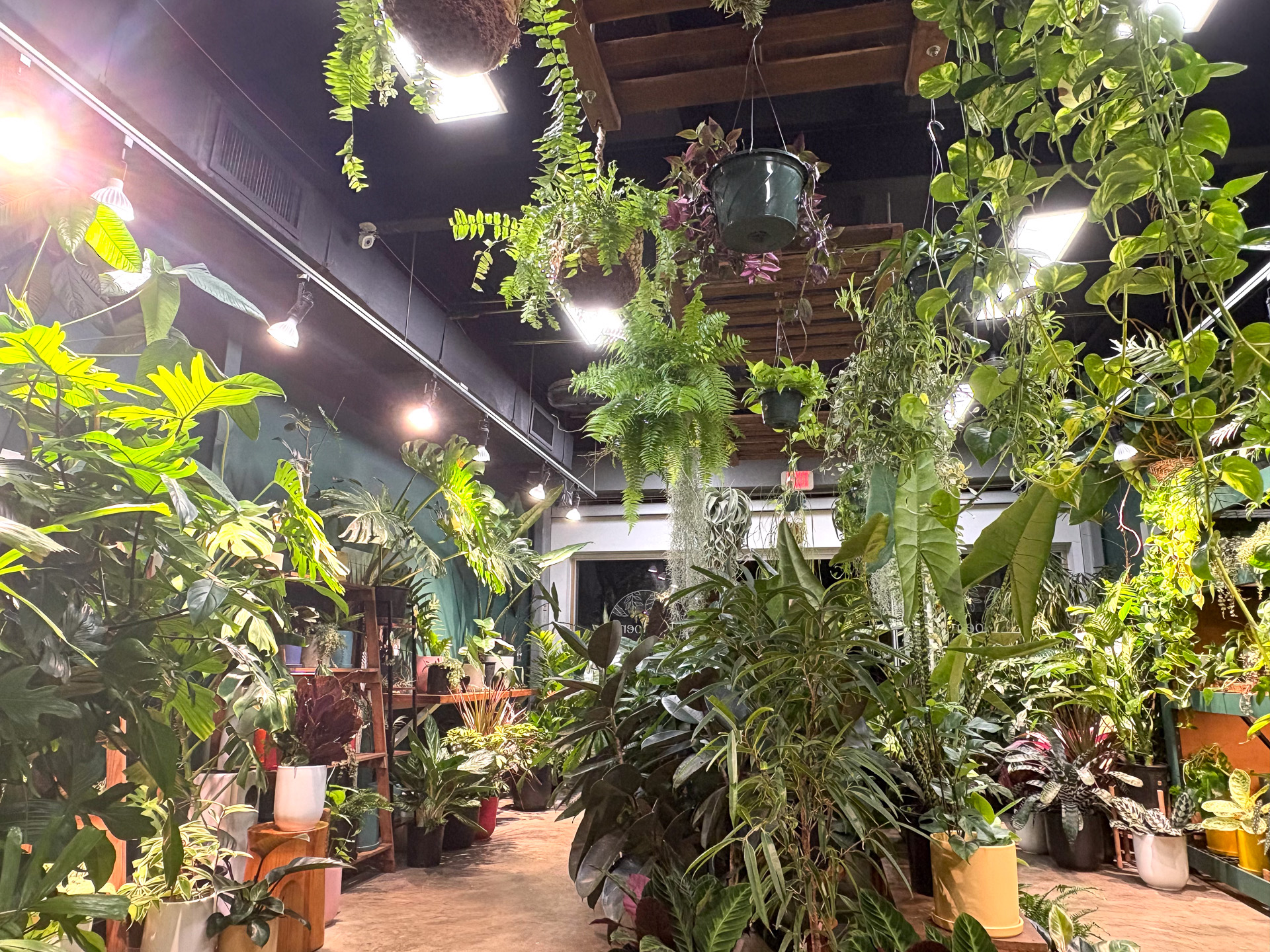 2階にあるので建物の横のスロープを上がって入り口へ