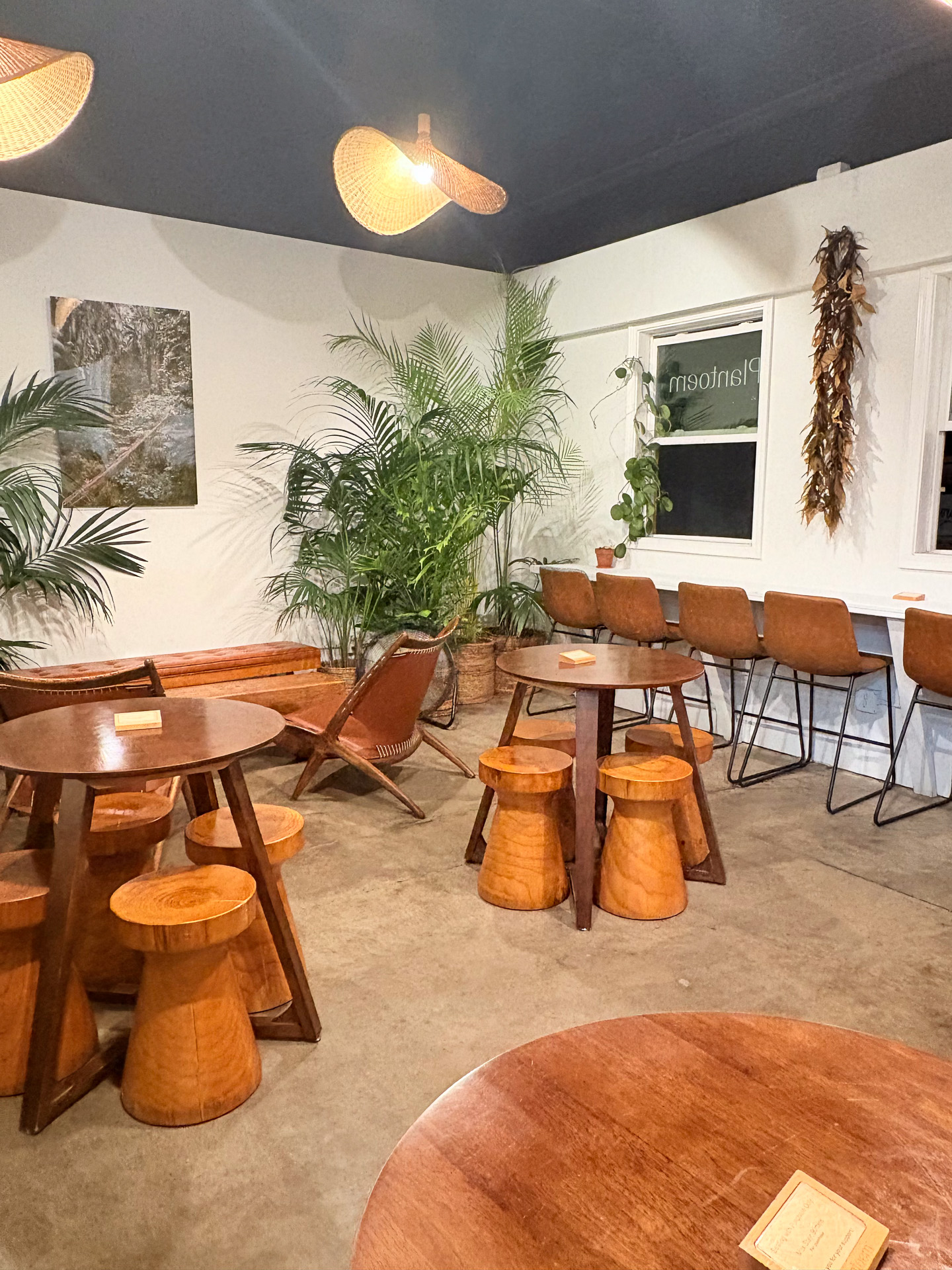 たっぷりの植物を潜り抜けた奥に広がるカフェスペース