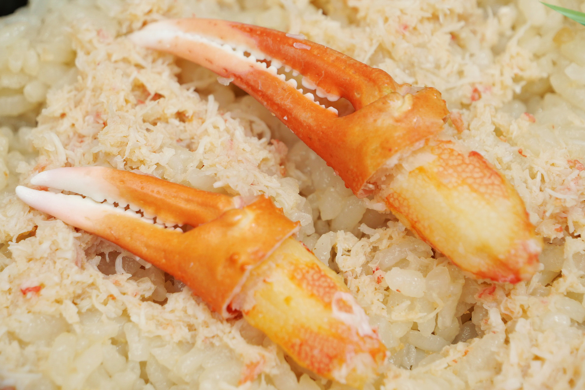 ご飯の上にはカニのツメ肉が2本。カニ肉を直接味わえる贅沢さを楽しめます
