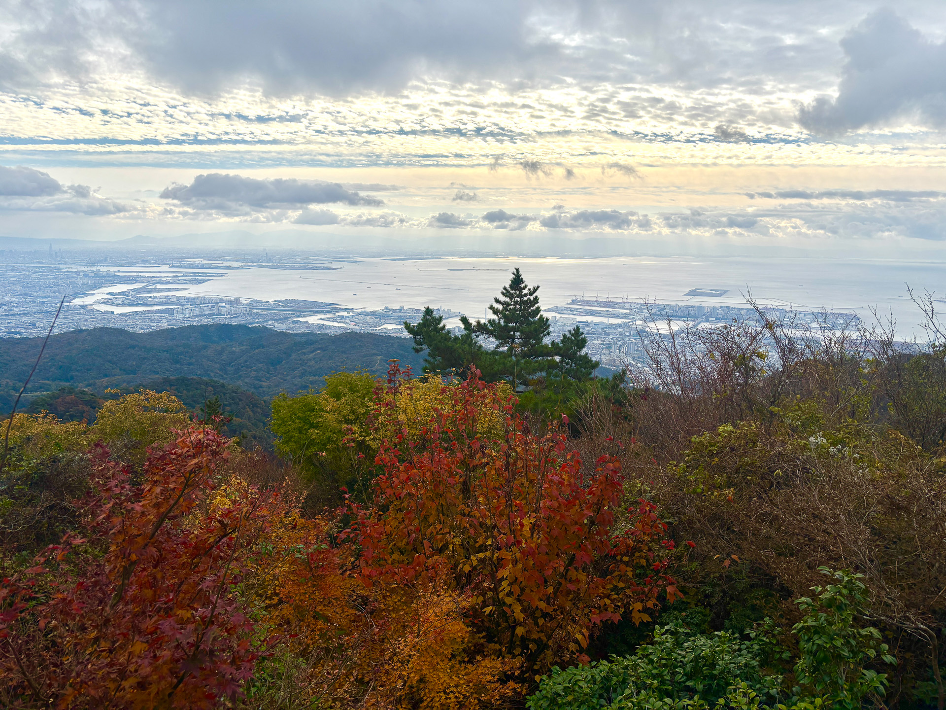 秋の神戸旅に出かけて、街歩きも自然も楽しみました