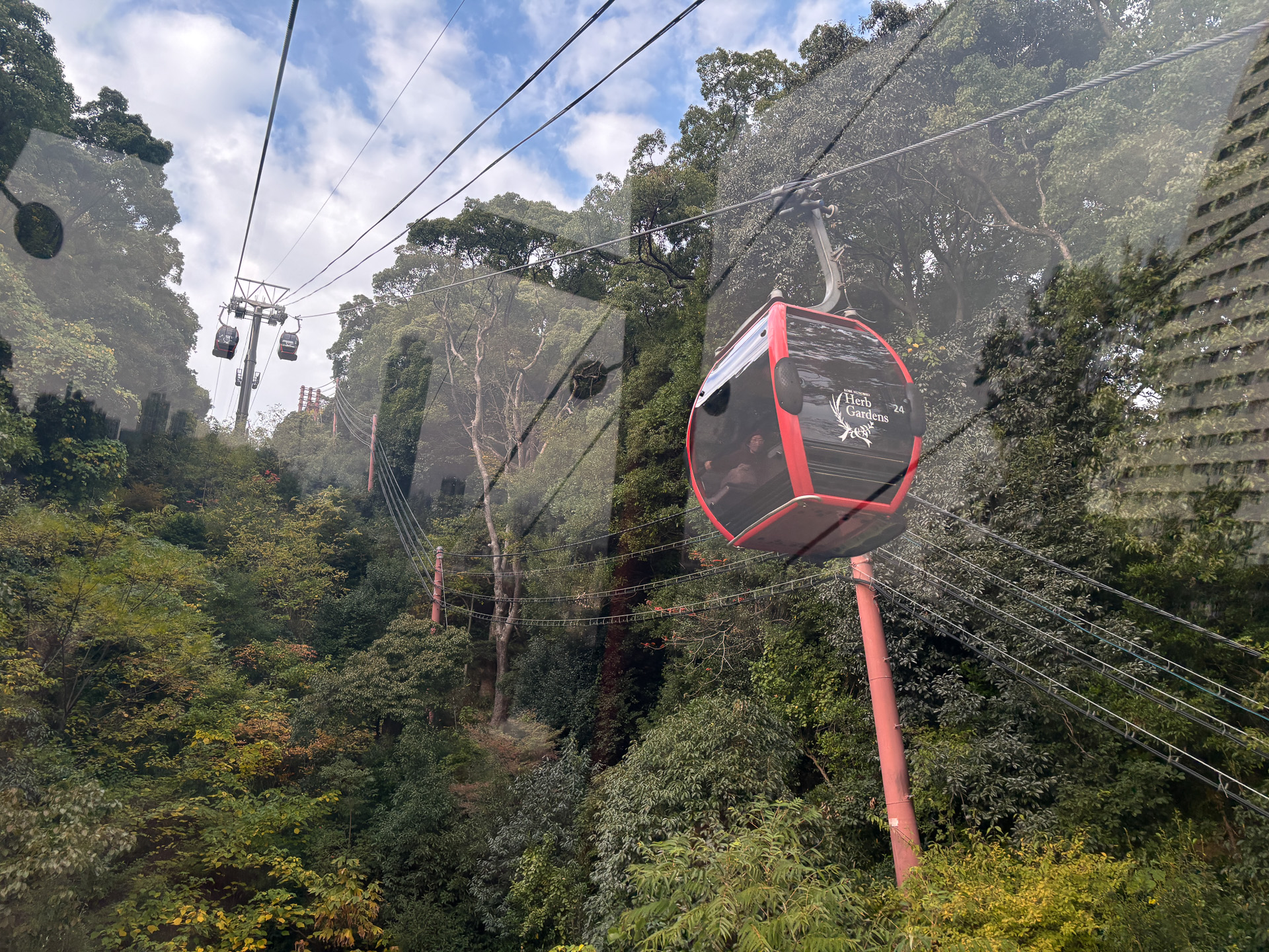 山の景色を見ながら移動できて楽しいロープウェイ