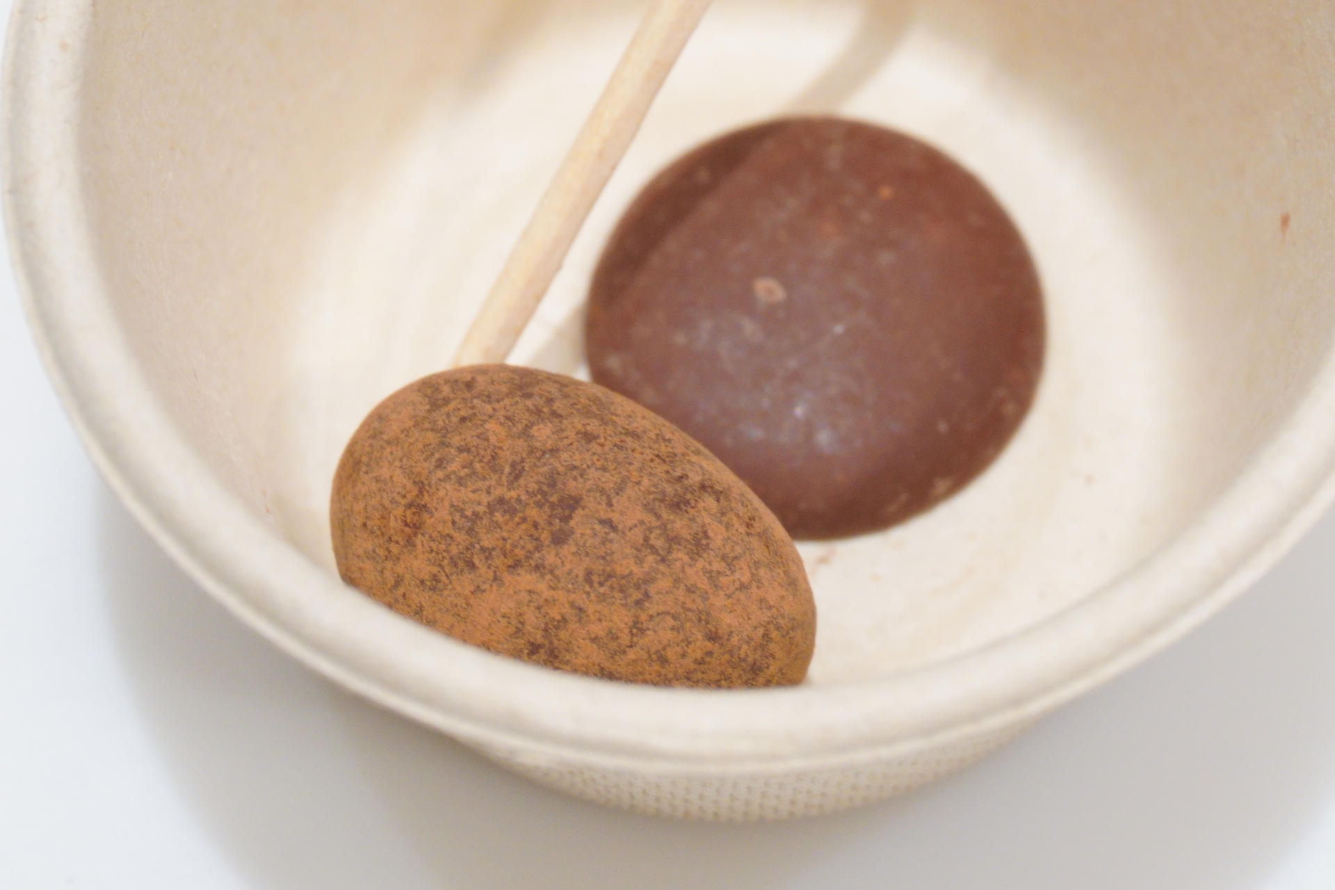 ライム発酵のカカオを生かした レーズントリュフ（左）、チョコレート（右）。チョコとの組み合わせとして、オレンジやクランベリー、パフなども試したが、一番相性がよかったのはレーズンだったという