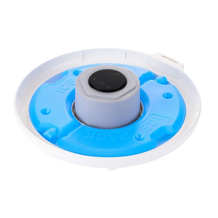 アイスパック2個が付属する