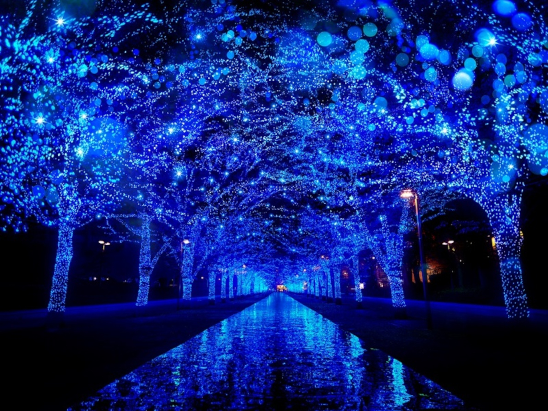 今年も渋谷で「青の洞窟 SHIBUYA」開催