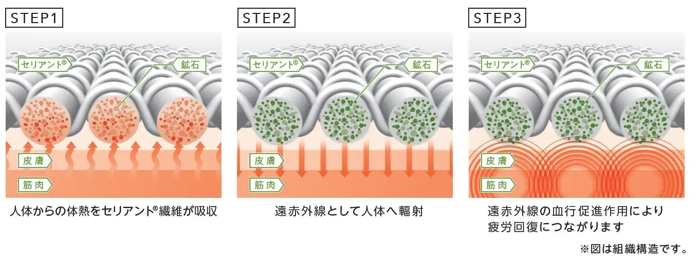 セリアント素材の構造
