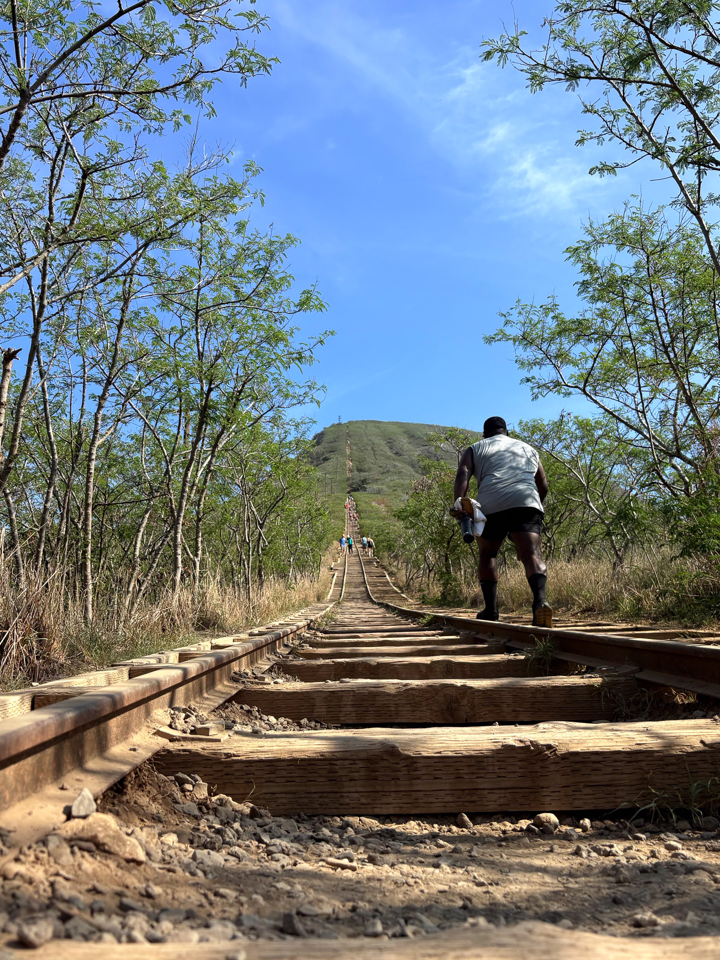 山頂までまっすぐ続く登山道