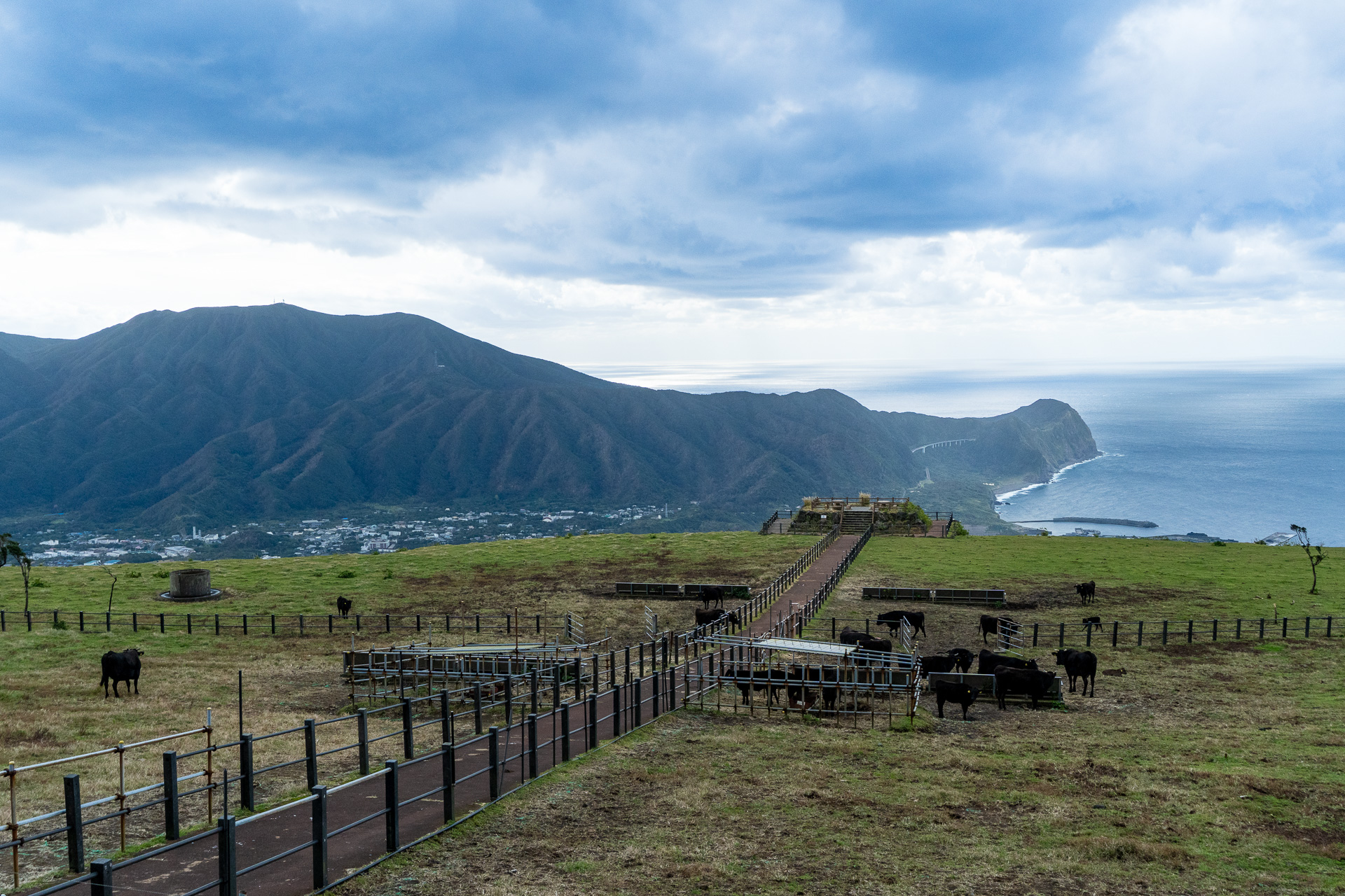 昭和42年に設立された町営牧場。雄大な牧草地のなかで家畜とのんびりした時間が過ごせる「ふれあい牧場」として一般公開されています