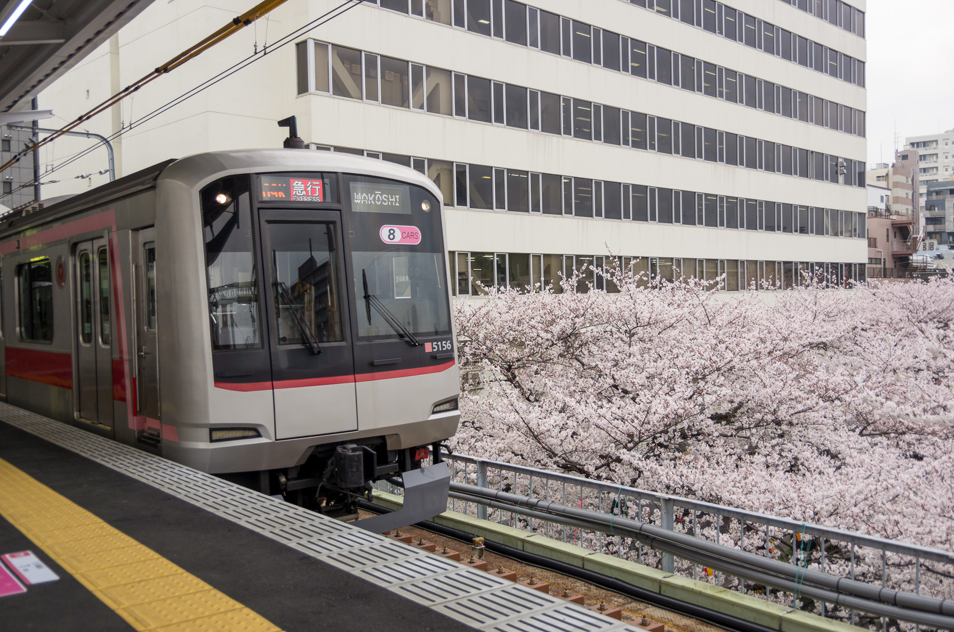 都市部でも季節感を感じさせる場面はある。その1つが東急東横線・中目黒駅の上りホームから見える「目黒川の桜」だが、これは有名になり過ぎた。ホームの幅が狭い場所でもあるので、昨今では撮影向きとはいいがたい