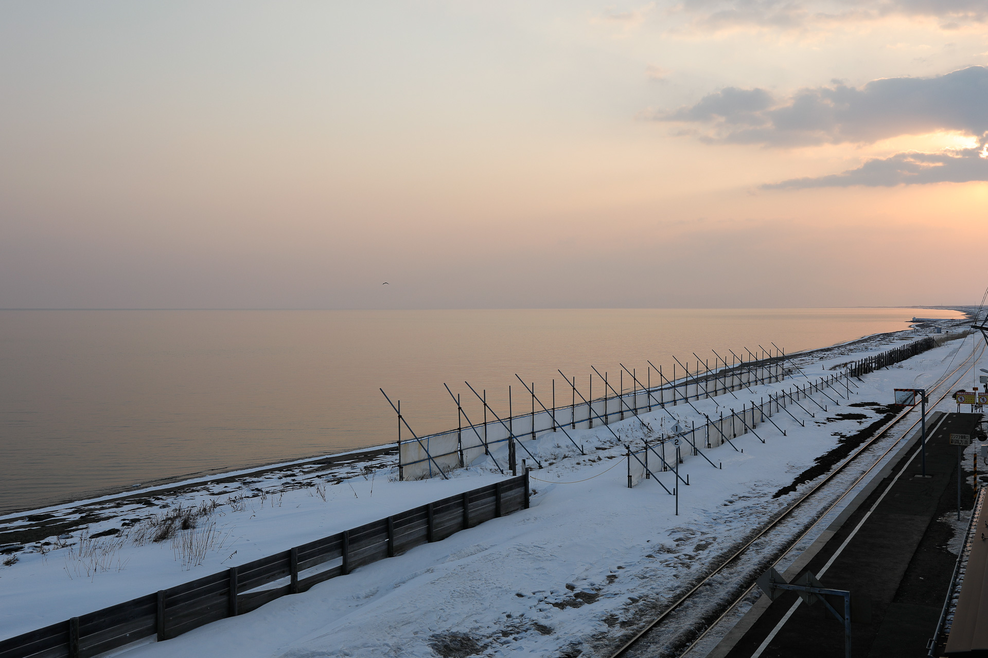 しかしめぐり合わせがわるいと、2月だというのに流氷のカケラも見られないことがある