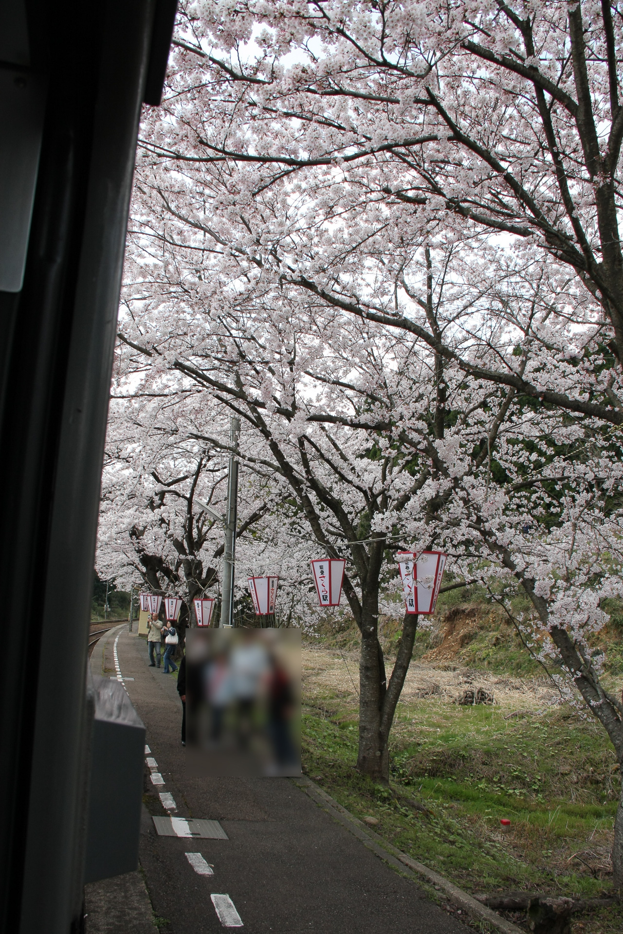 能登鹿島駅ホームの桜。2010年4月の撮影