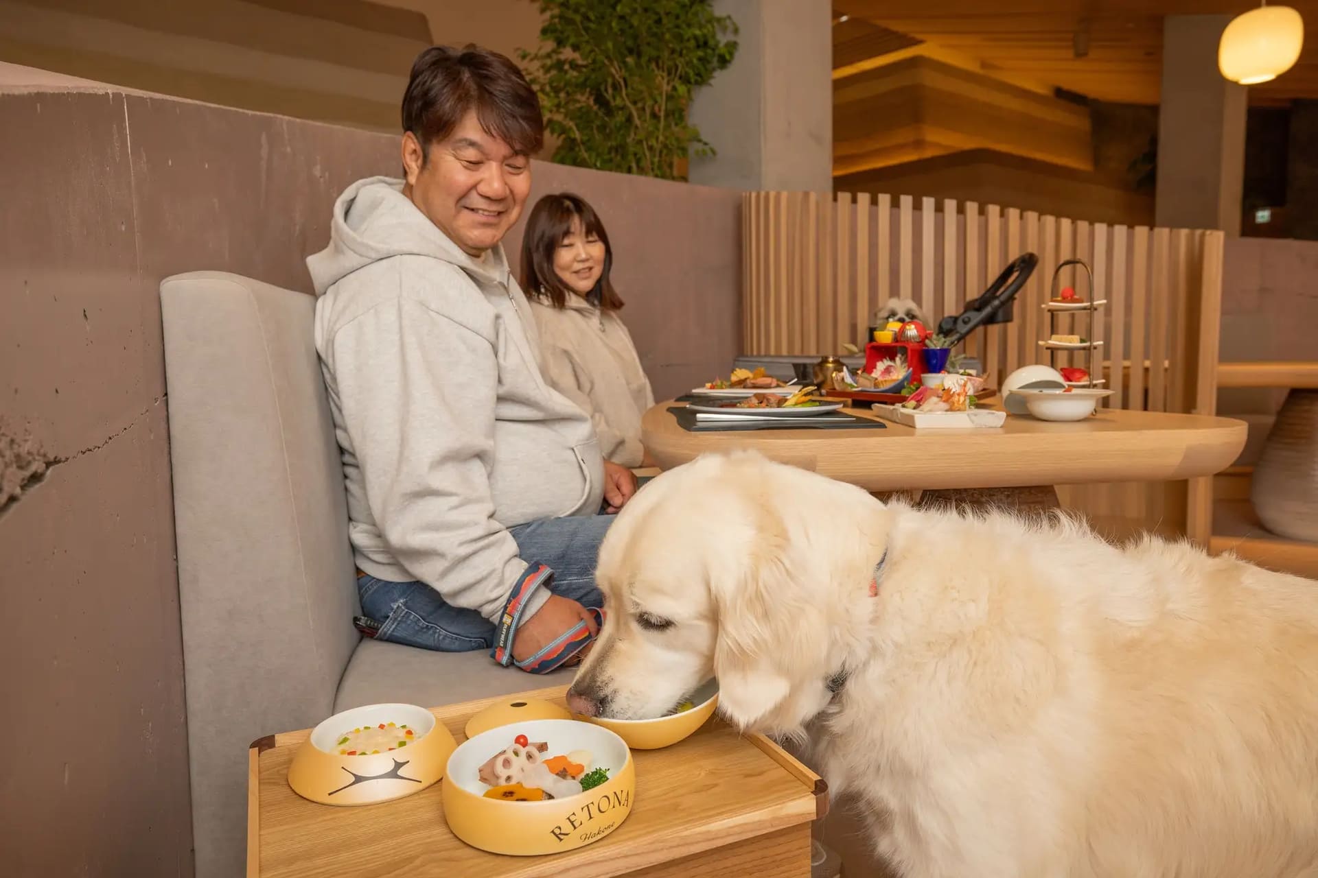 犬と一緒に食事がとれる