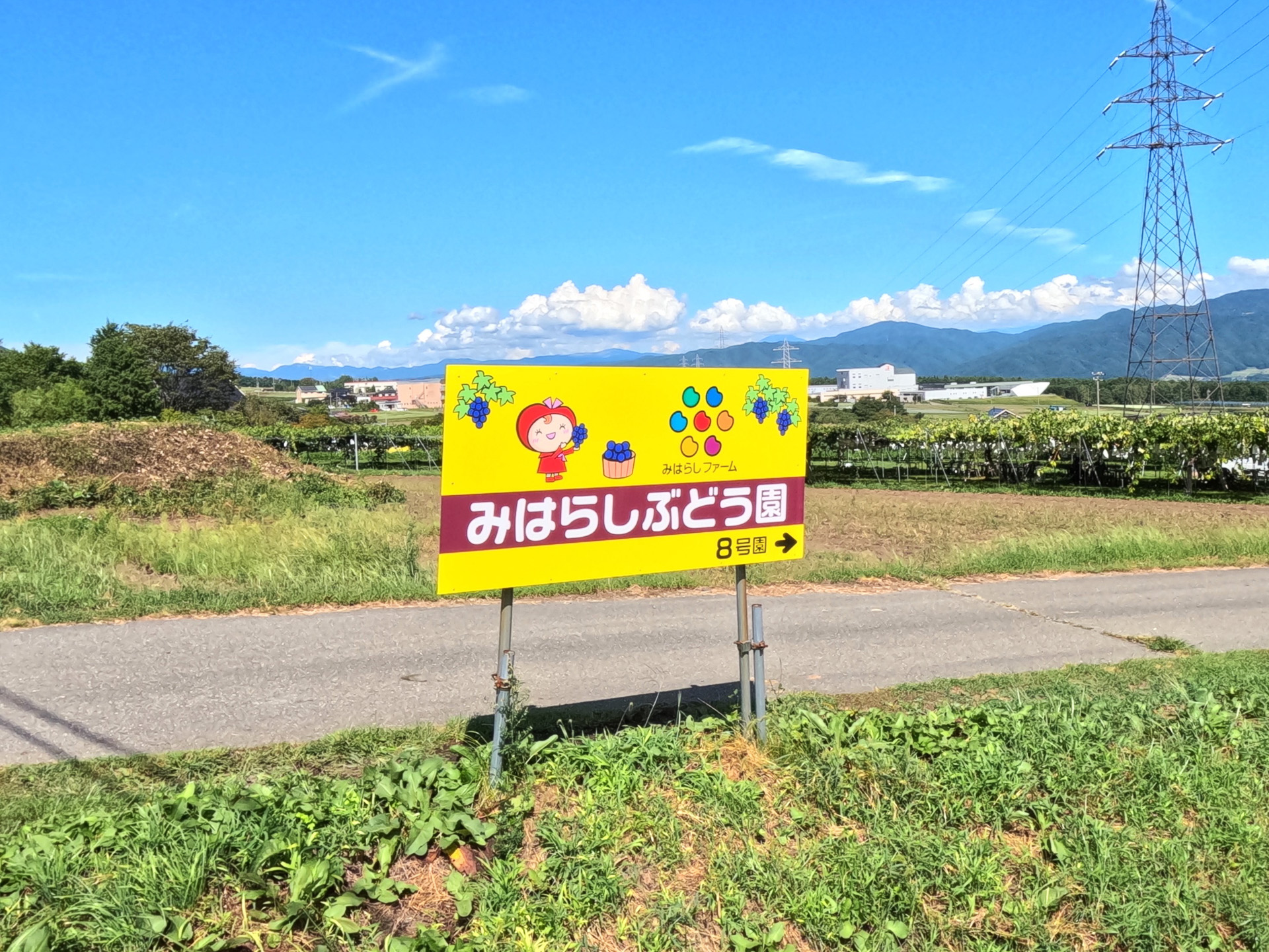 みはらしぶどう園