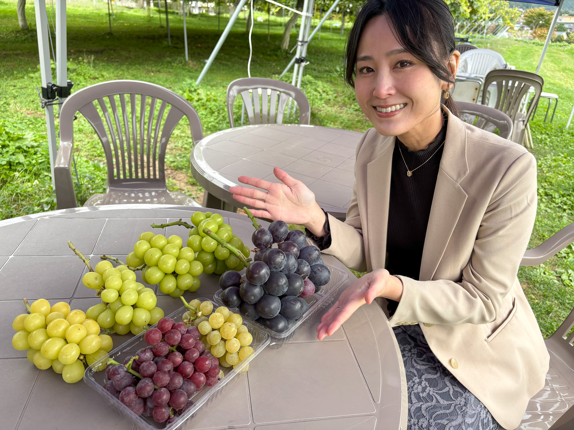 収穫したさまざまなぶどう