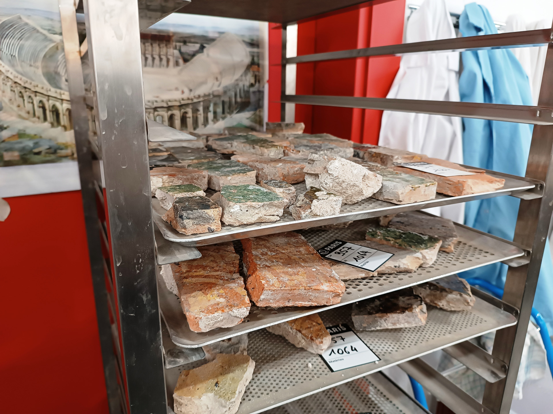 ラボでの作業の流れを説明してくれました