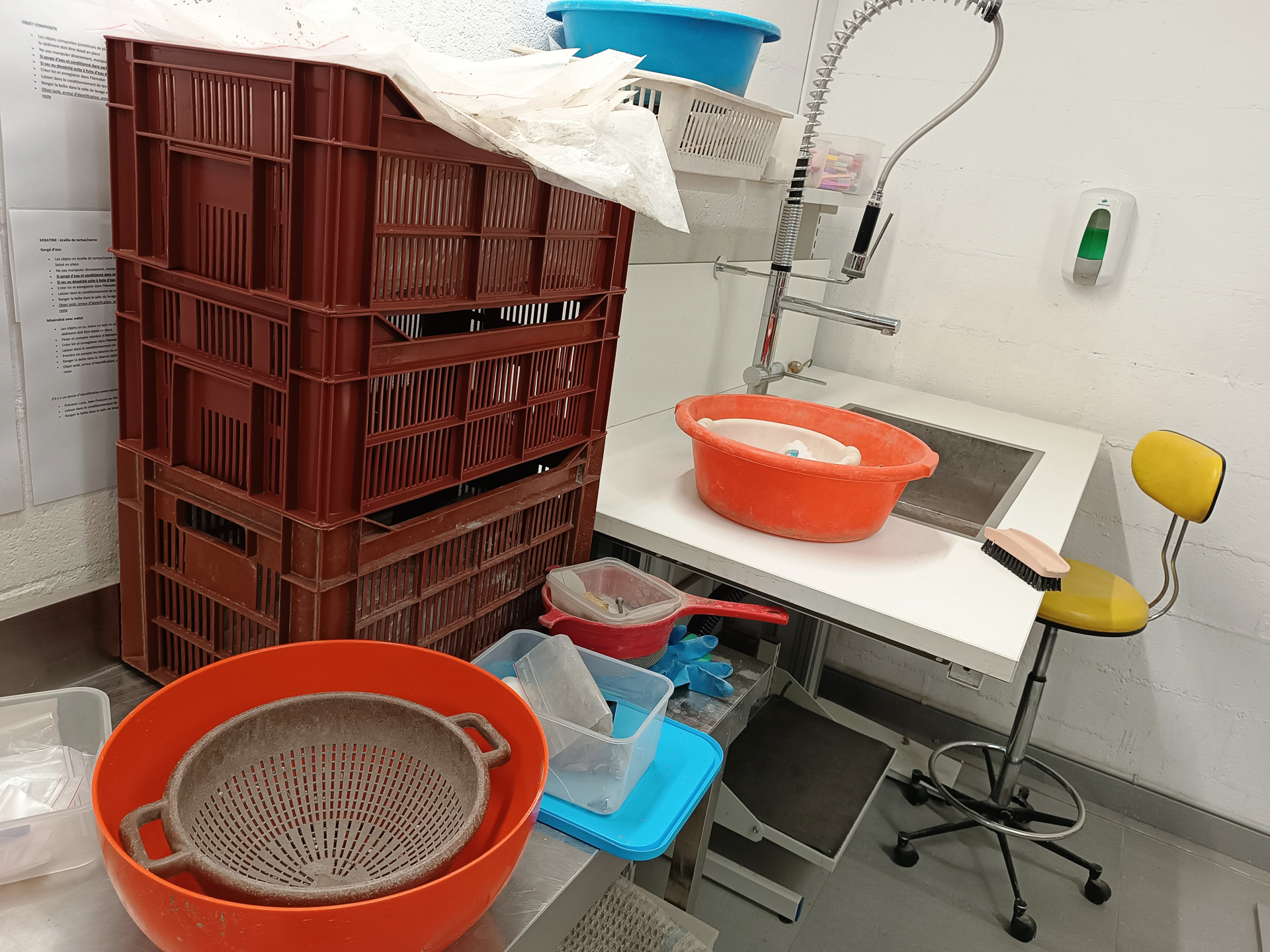 ラボでの作業の流れを説明してくれました