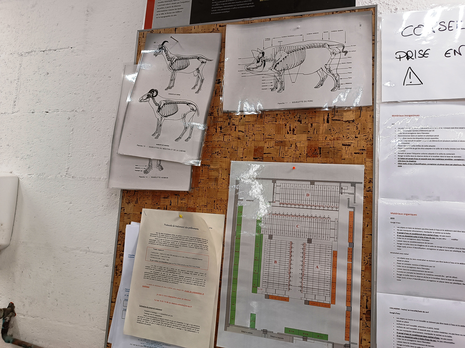 ラボでの作業の流れを説明してくれました