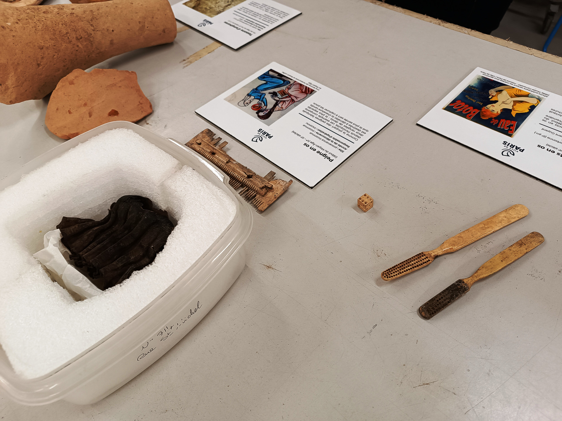 ラボでの作業の流れを説明してくれました