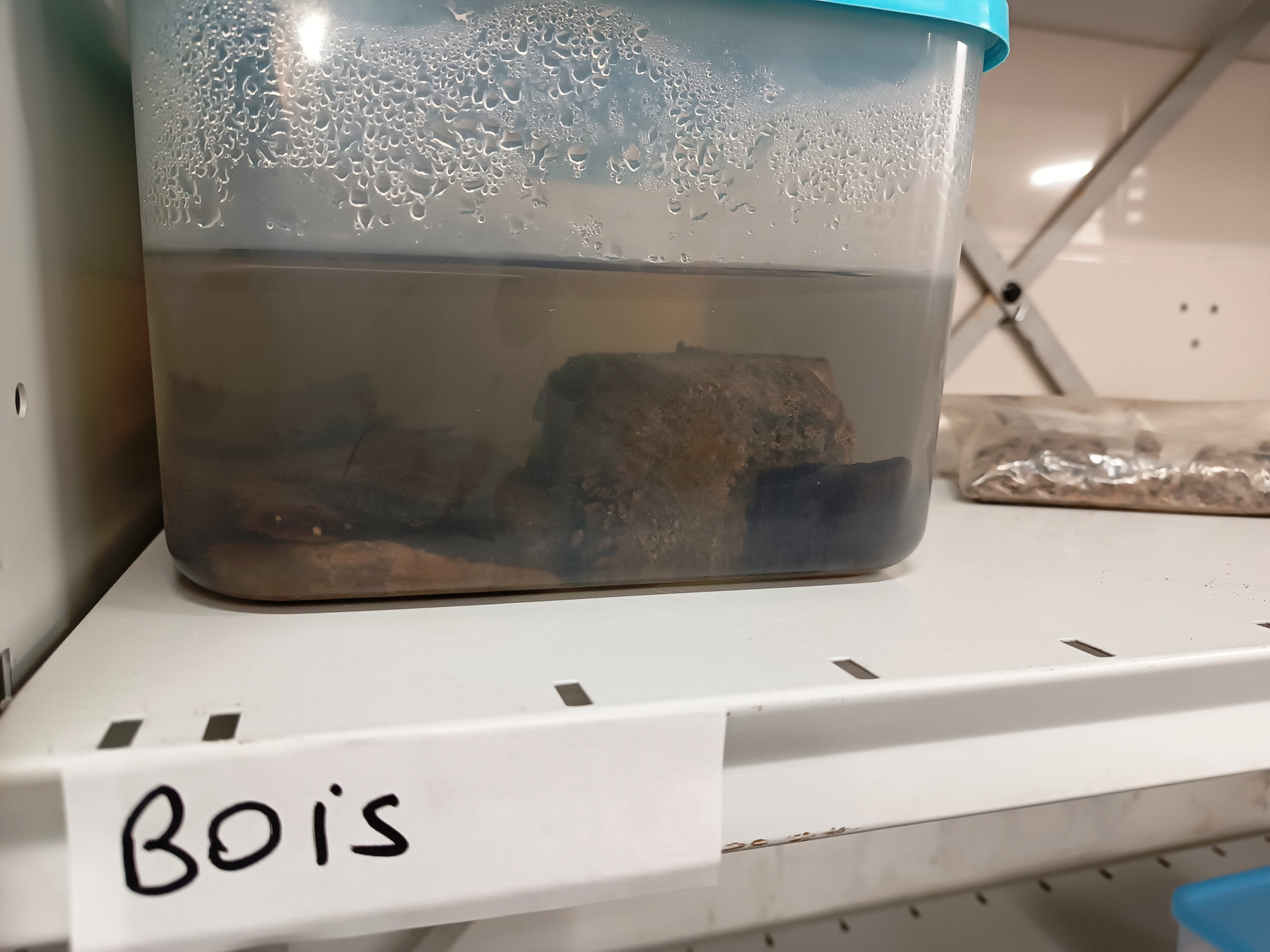 ラボでの作業の流れを説明してくれました