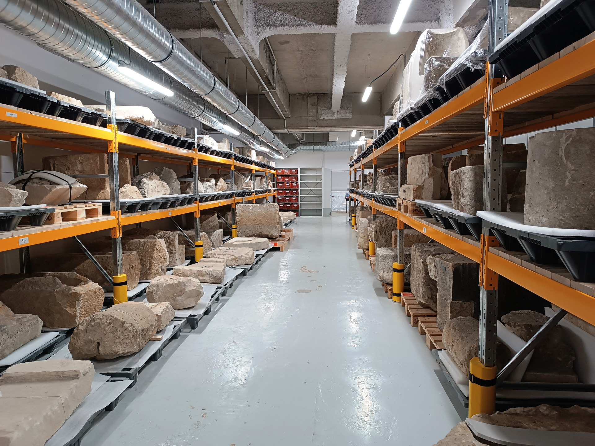 発掘現場で見つかったものが整然と並んでいます