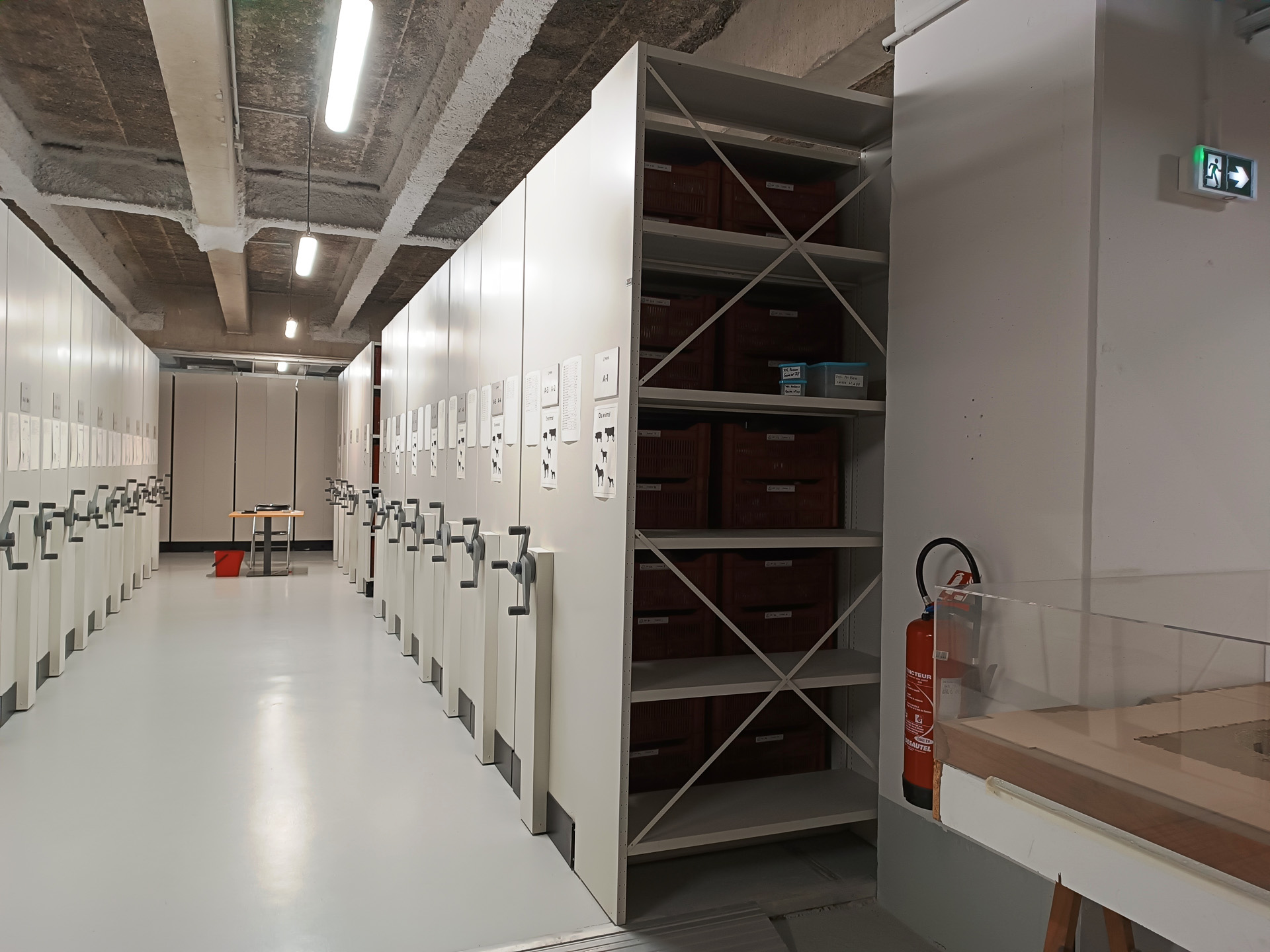 発掘現場で見つかったものが整然と並んでいます