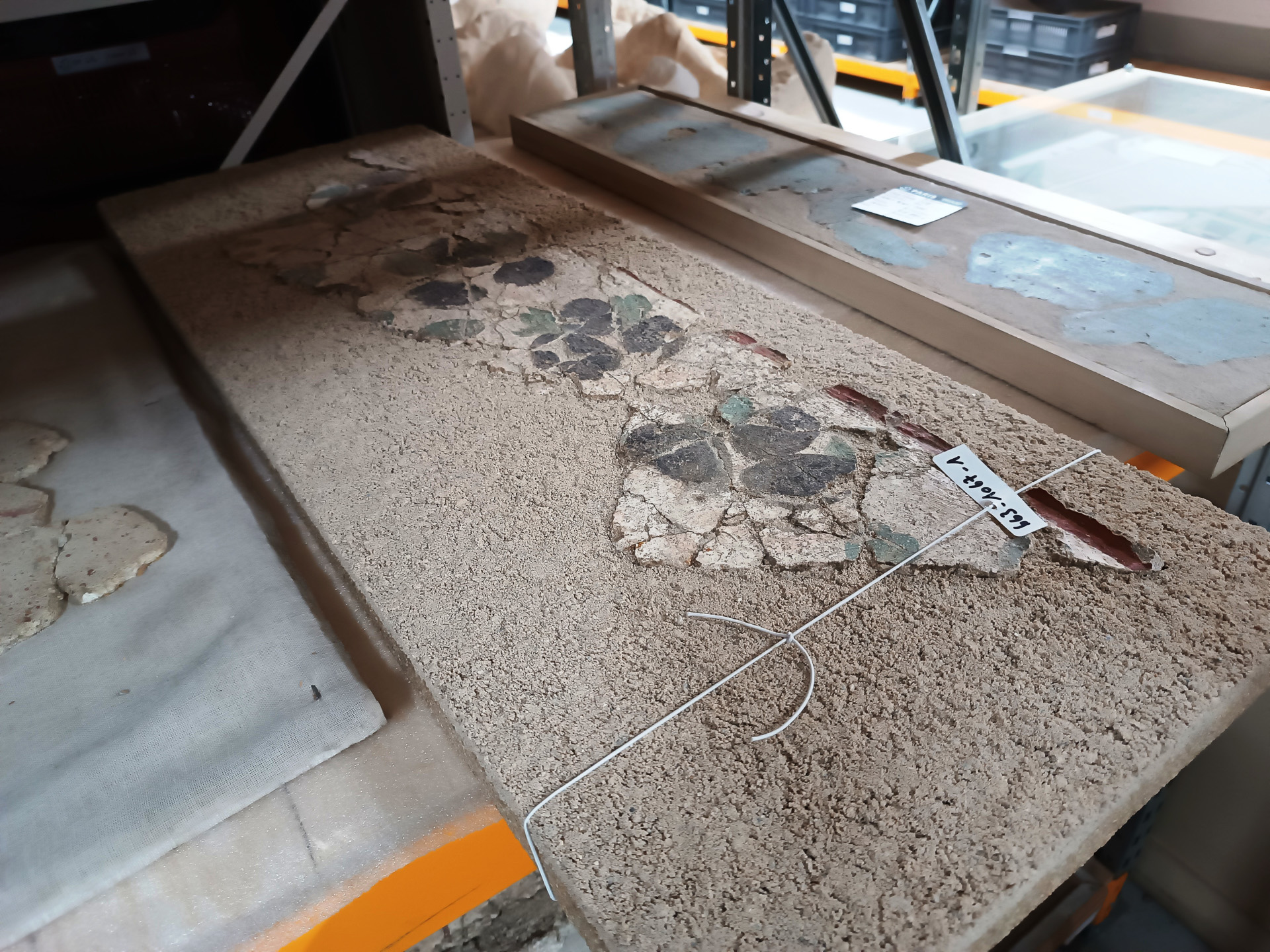 発掘現場で見つかったものが整然と並んでいます