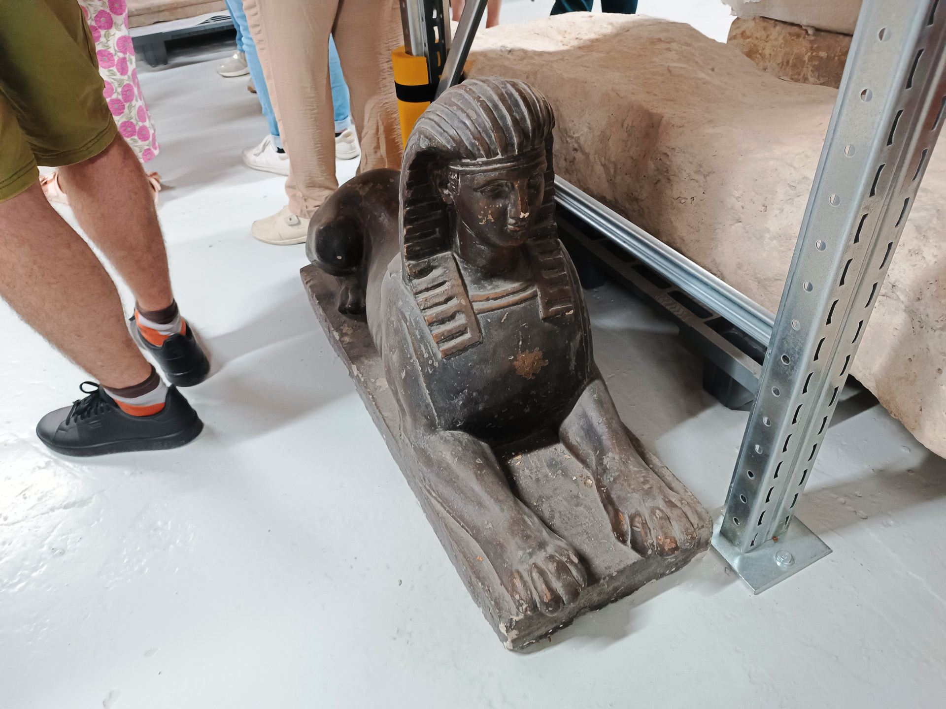 発掘現場で見つかったものが整然と並んでいます