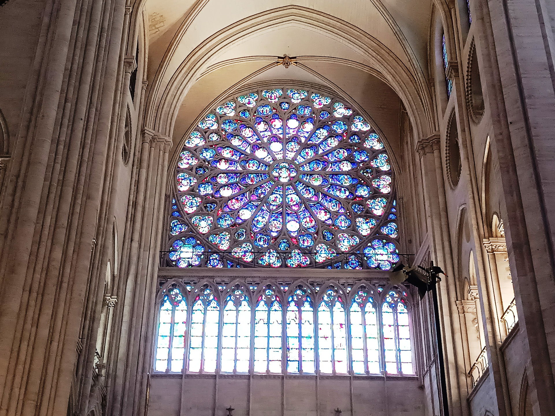 ピカピカになったノートルダム大聖堂