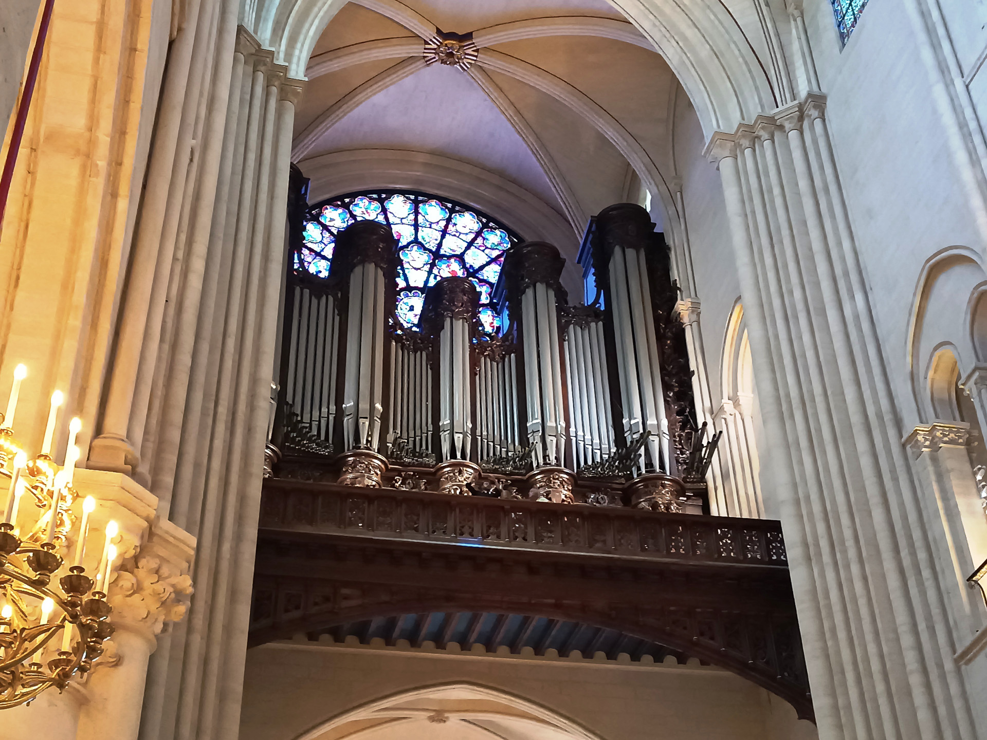 ピカピカになったノートルダム大聖堂