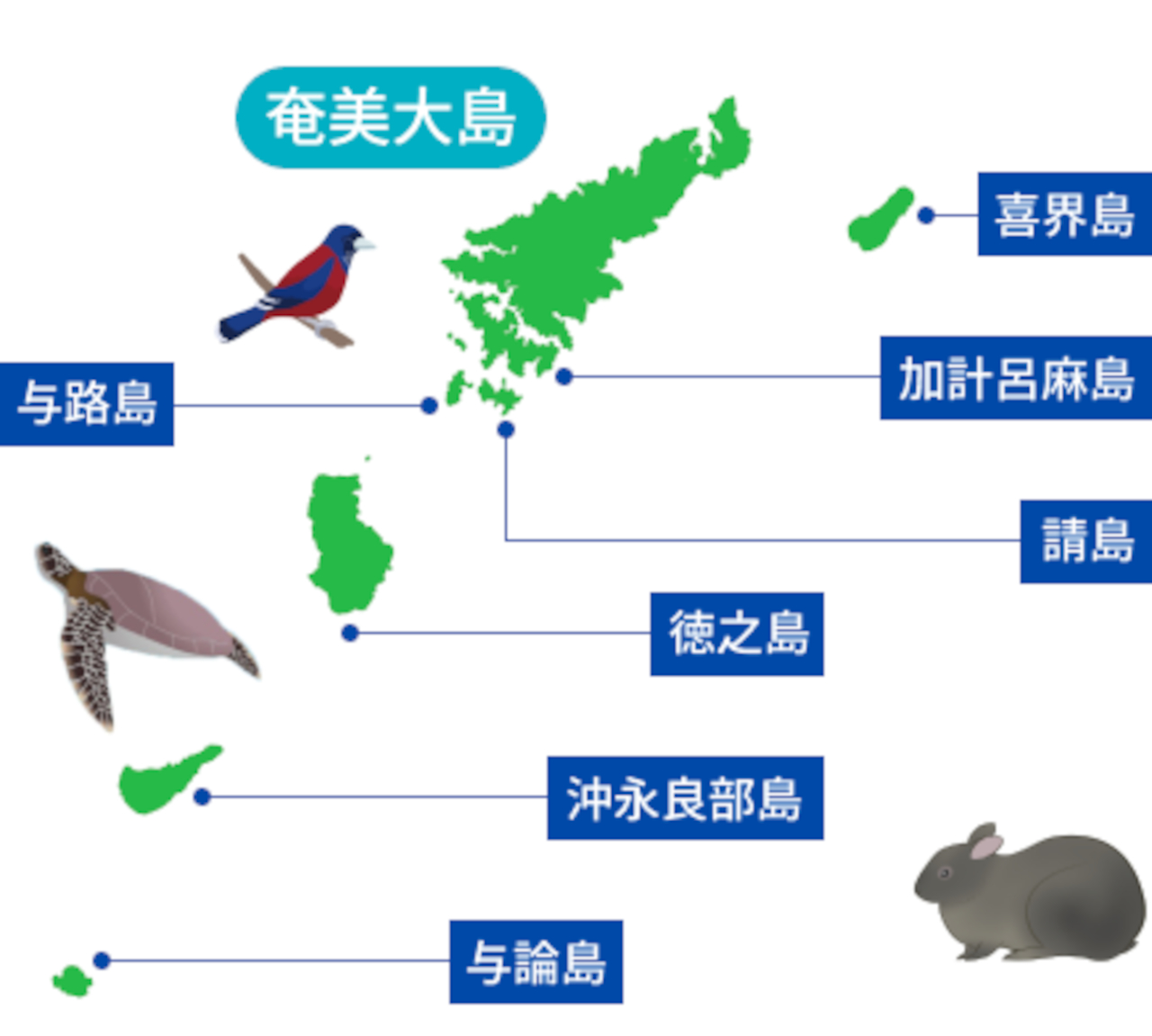 奄美群島マップ。鹿児島県に属する8つの有人島（奄美大島、喜界島、加計呂麻島、与路島、請島、徳之島、沖永良部島、与論島）からなる