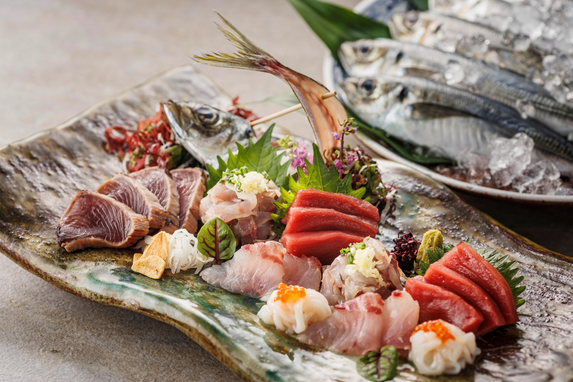 旬の魚のお造りや海鮮グルメが味わえる