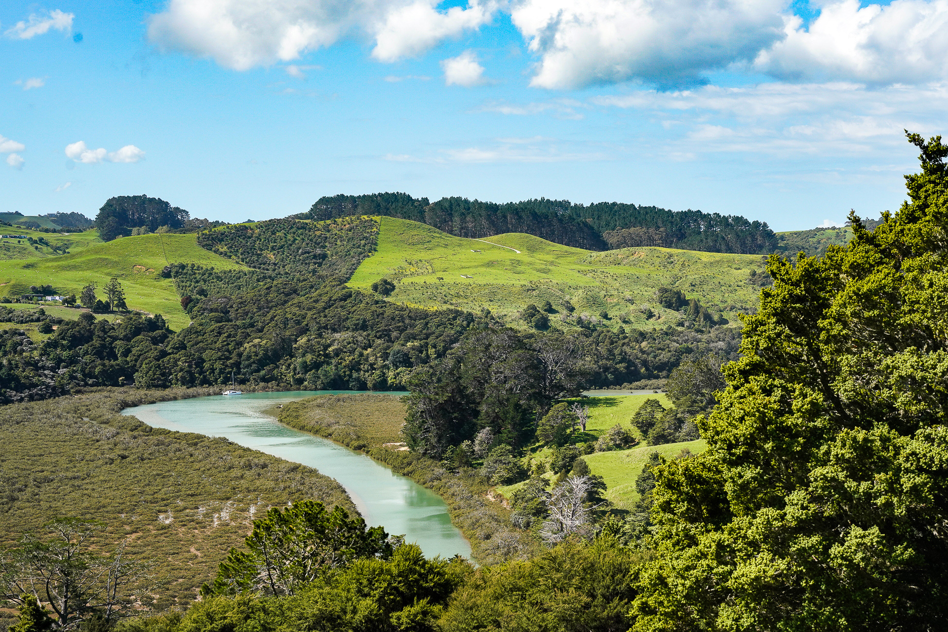 ニュージーランドの郊外は自然が豊富だ。「プーホイ（Puhoi）」川近辺の車窓