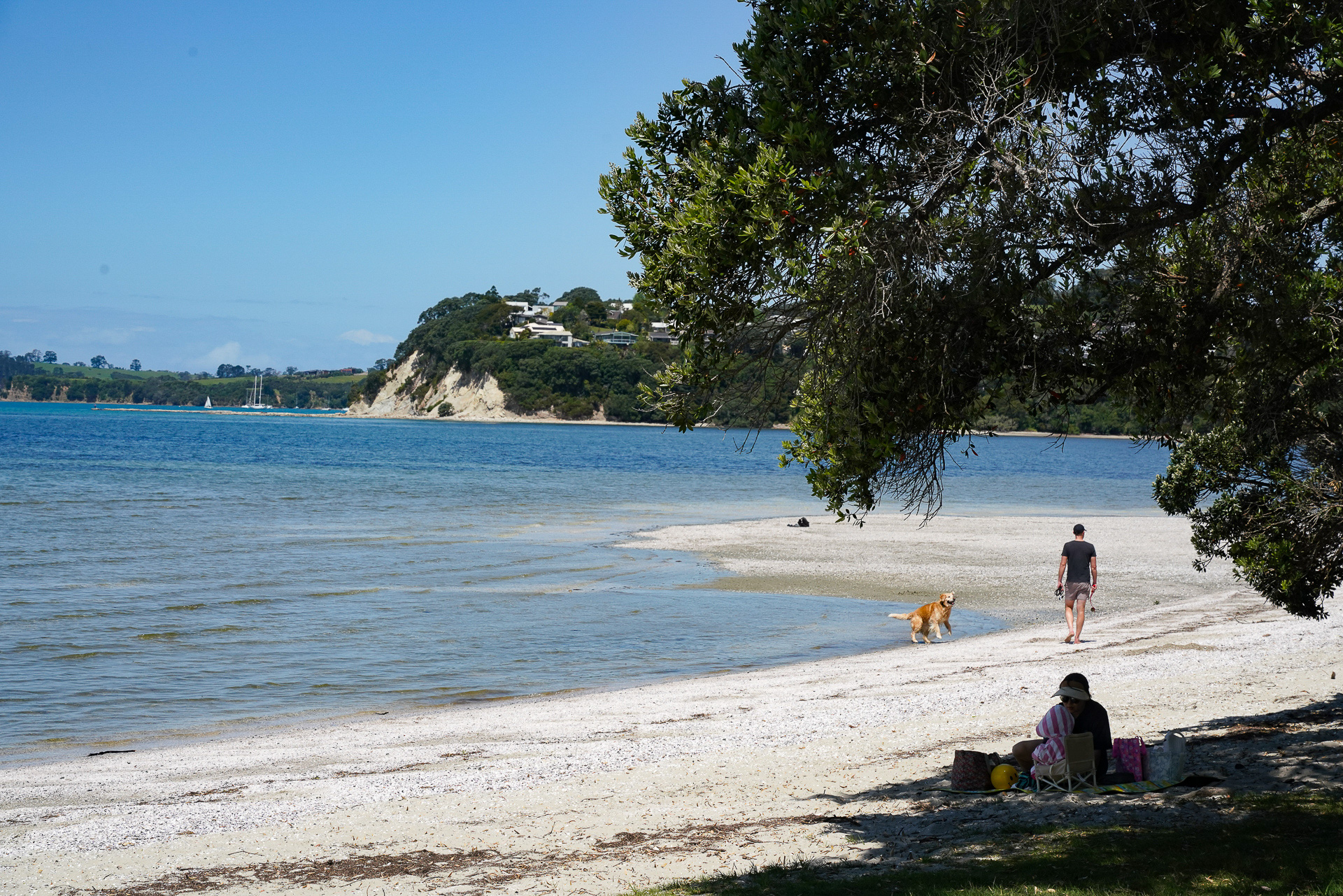 美しいビーチもたくさん見かけた