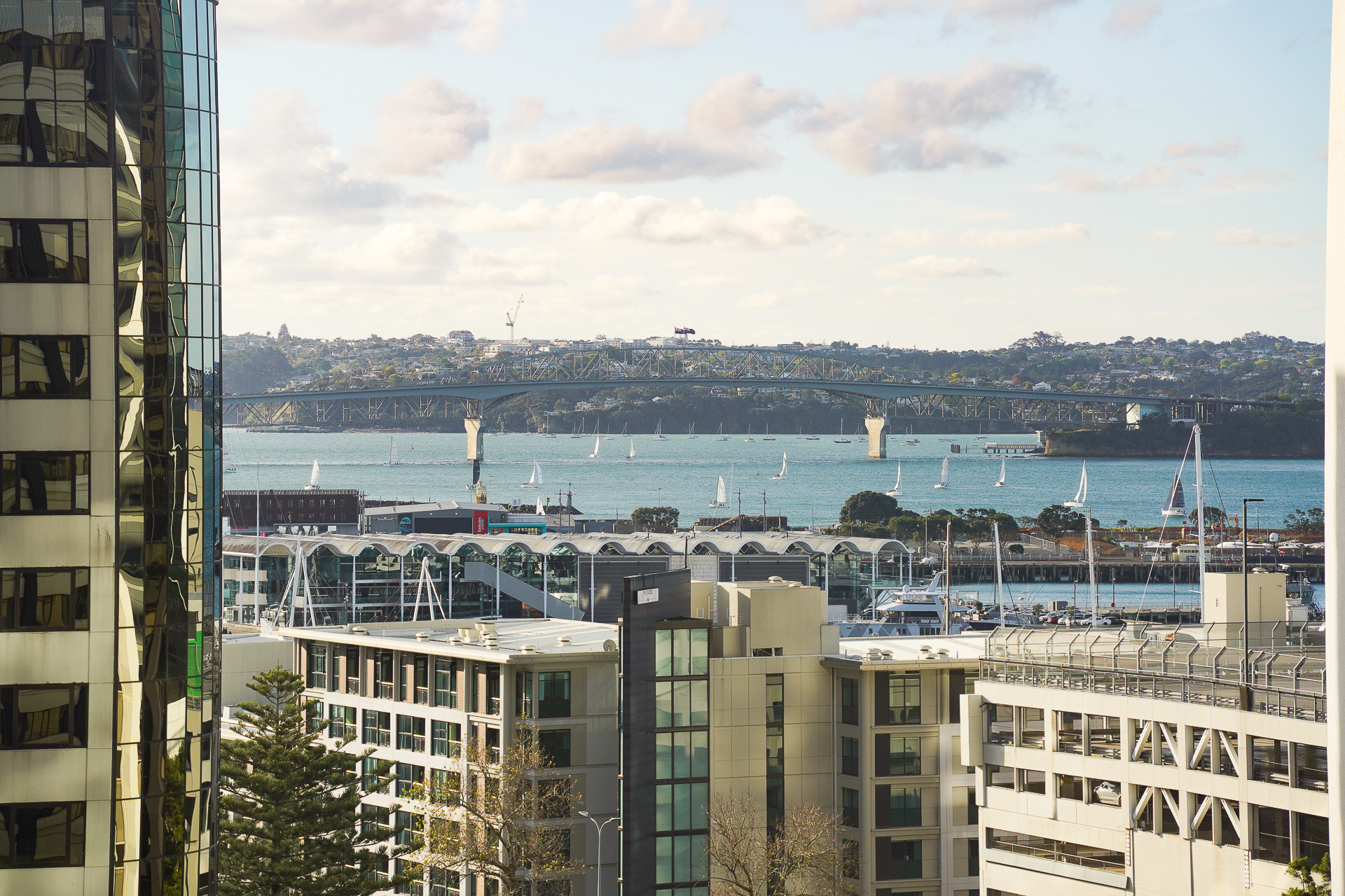 湾にはクルージングを楽しむヨットがたくさん並んでいる