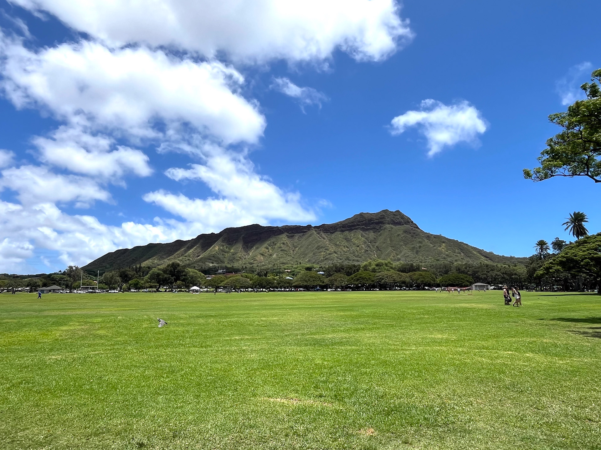 5月、カピオラニ公園から臨むダイヤモンドヘッド