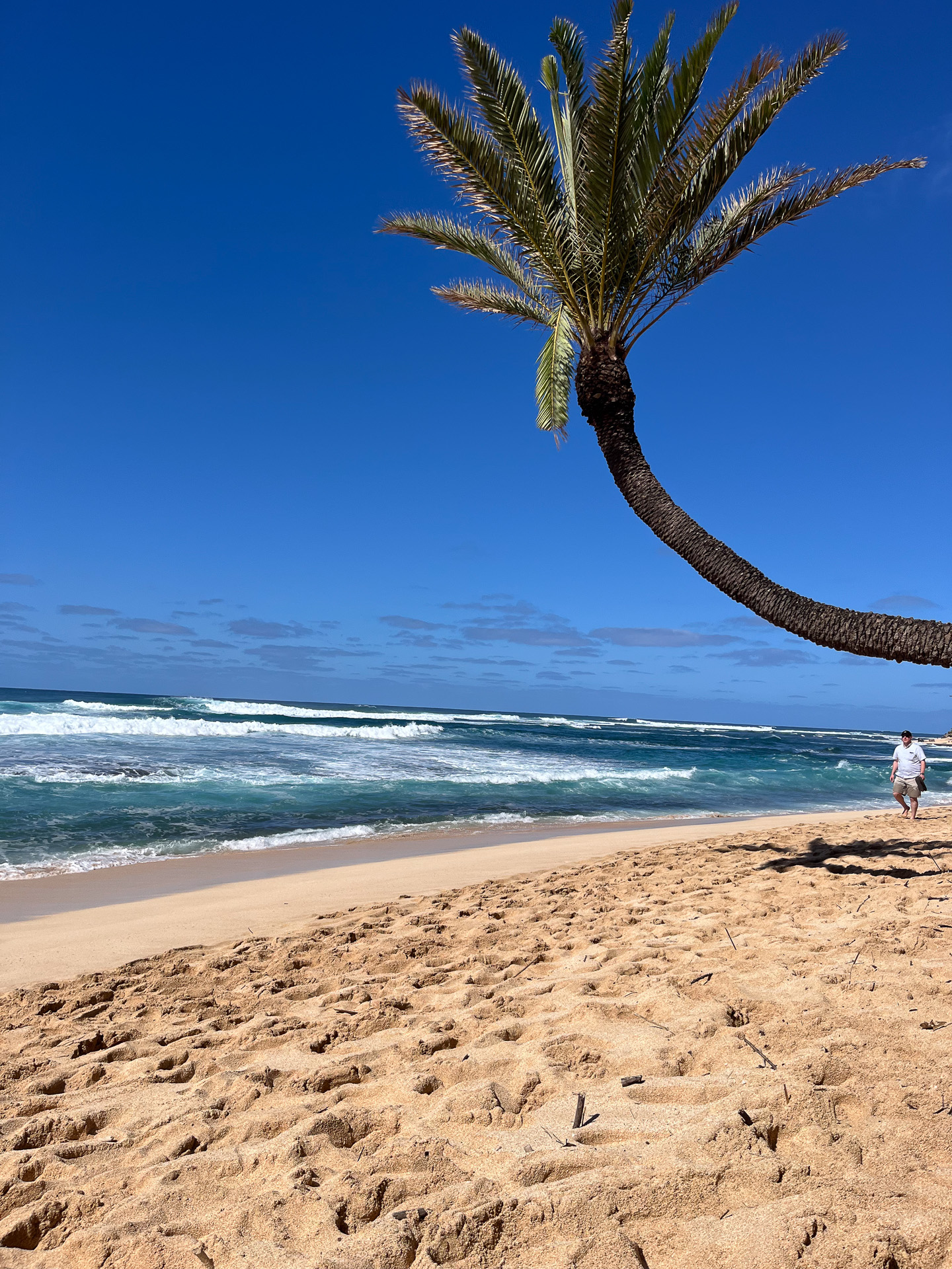 2月のサンセットビーチ。水量が多く波が厚くてパワーがある季節