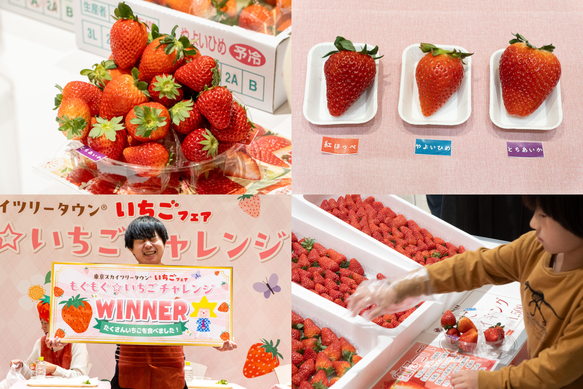 魅惑スイーツが大集結「東京スカイツリータウン いちごフェア」開催中