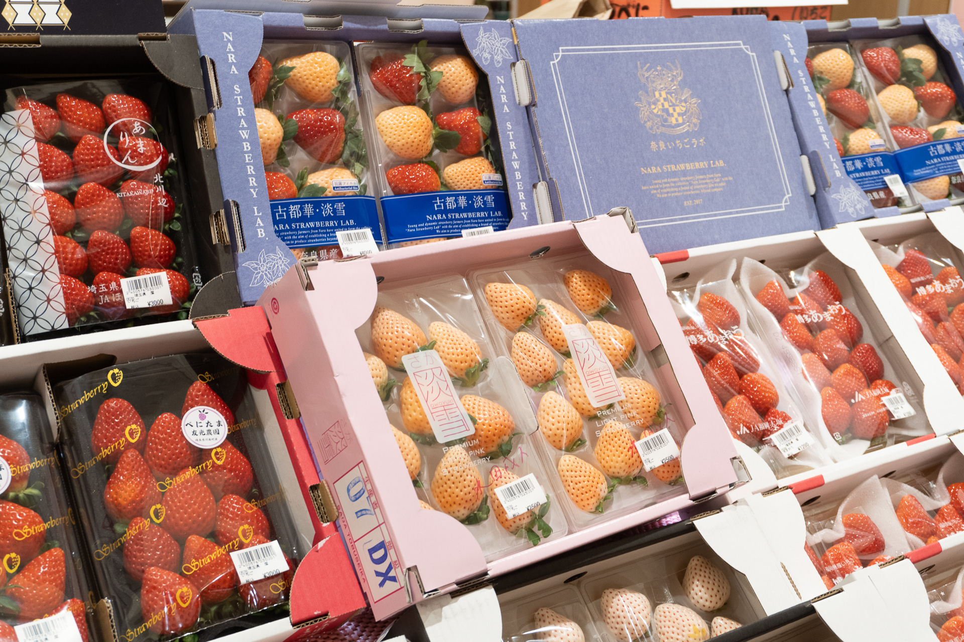 ほかにも「白いちご」などの希少ブランドもパックで販売