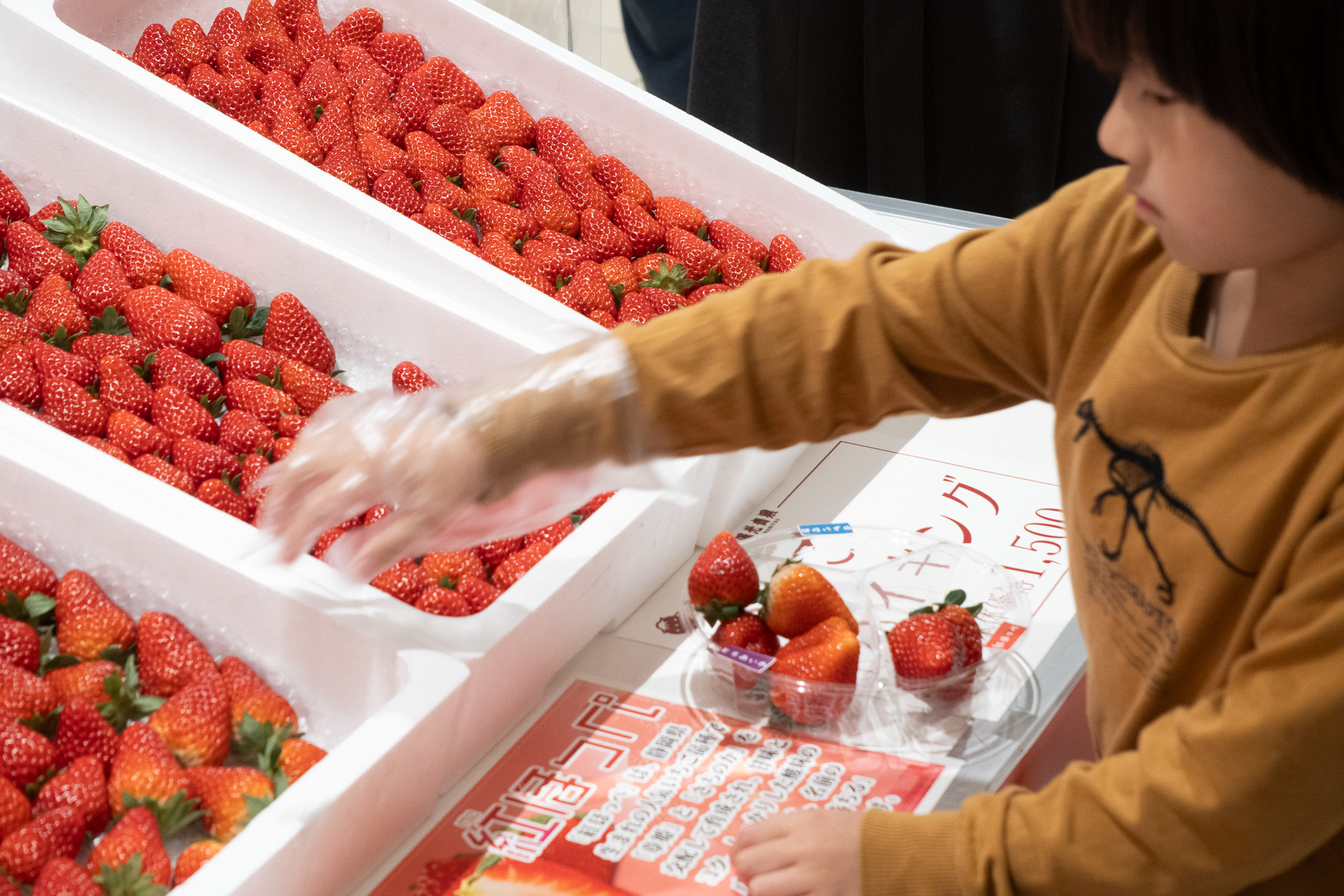 大人から子供まで参加OK