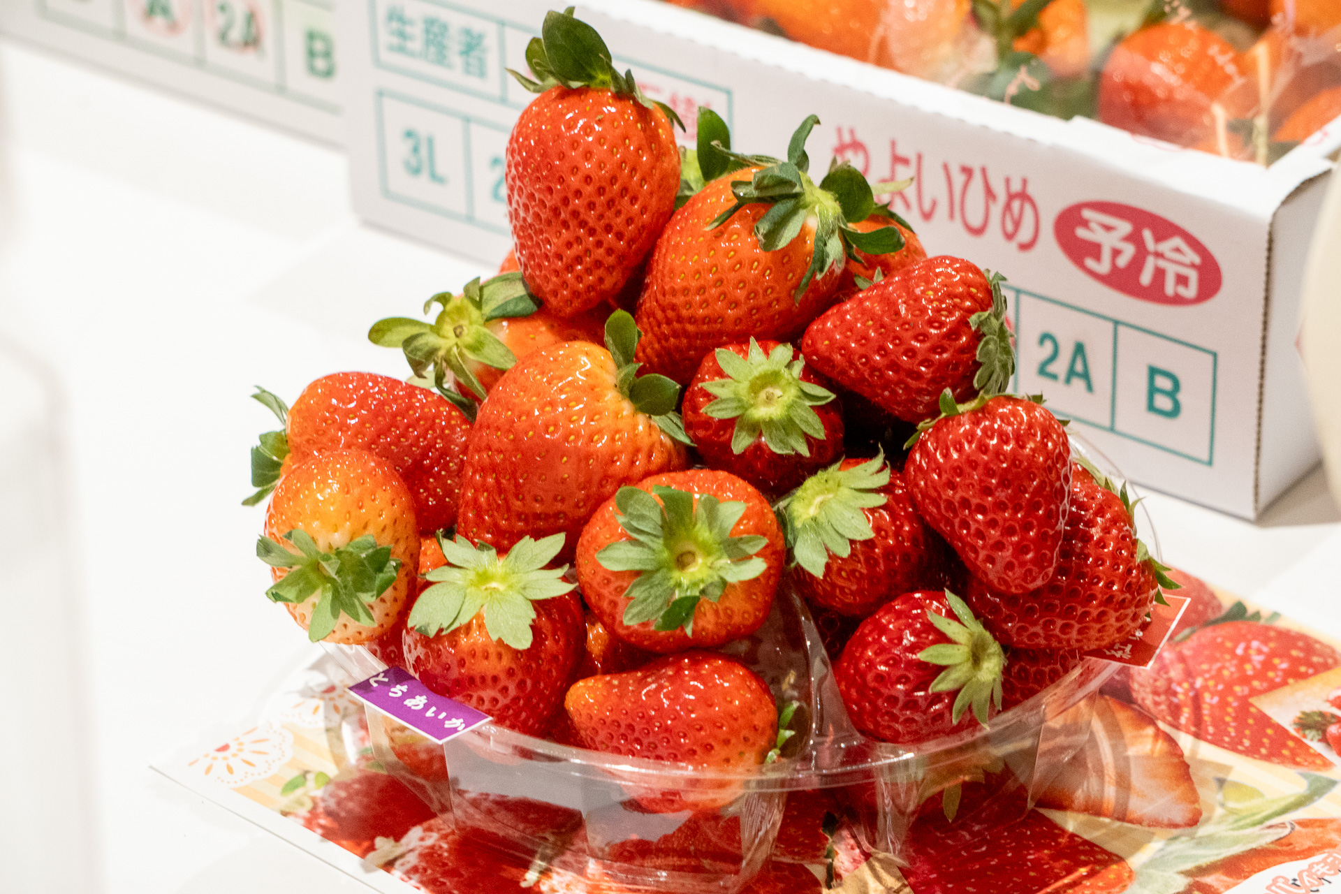 目安は600g（一般的な3パック分）。なかにはもっと大盛りで詰める猛者もいた