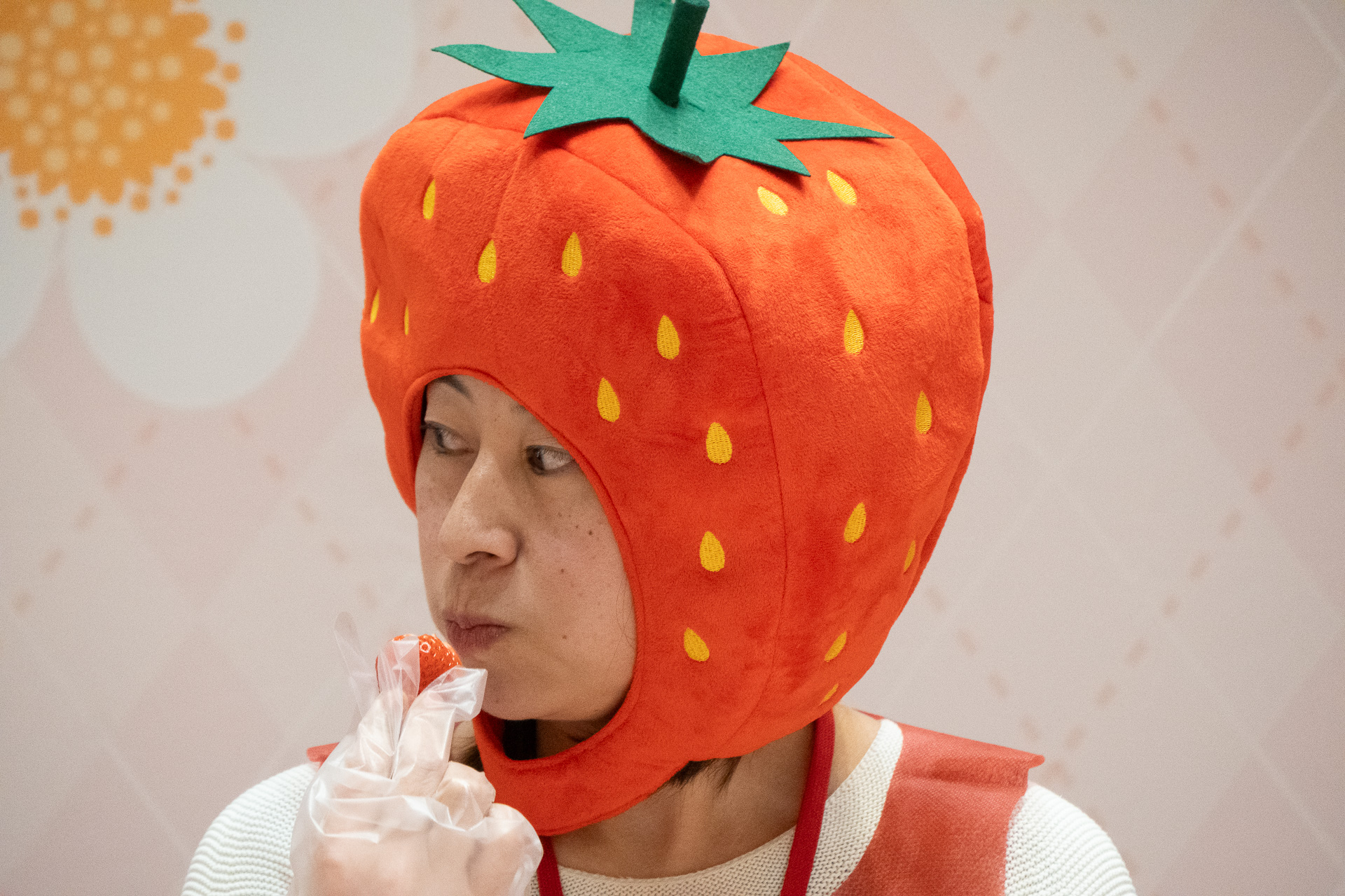 かぶりものやカチューシャも借りられる