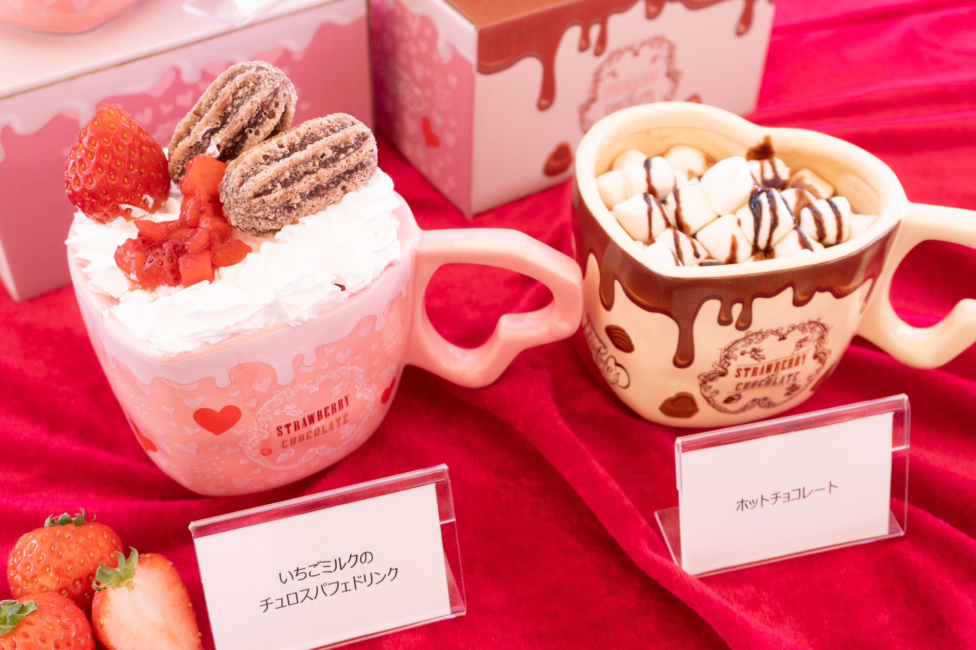 「ホットチョコレート」（600円）、「数量限定マグ付きホットチョコレート」（1800円）