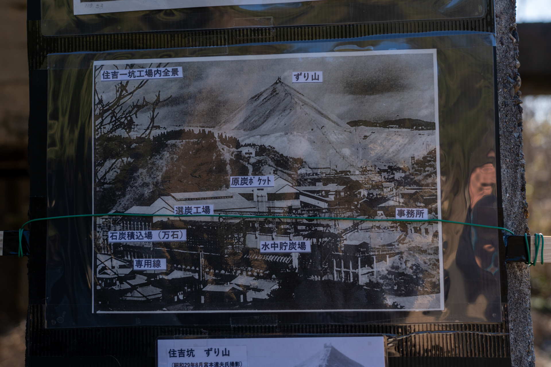 昭和29年ごろの写真が興味深い