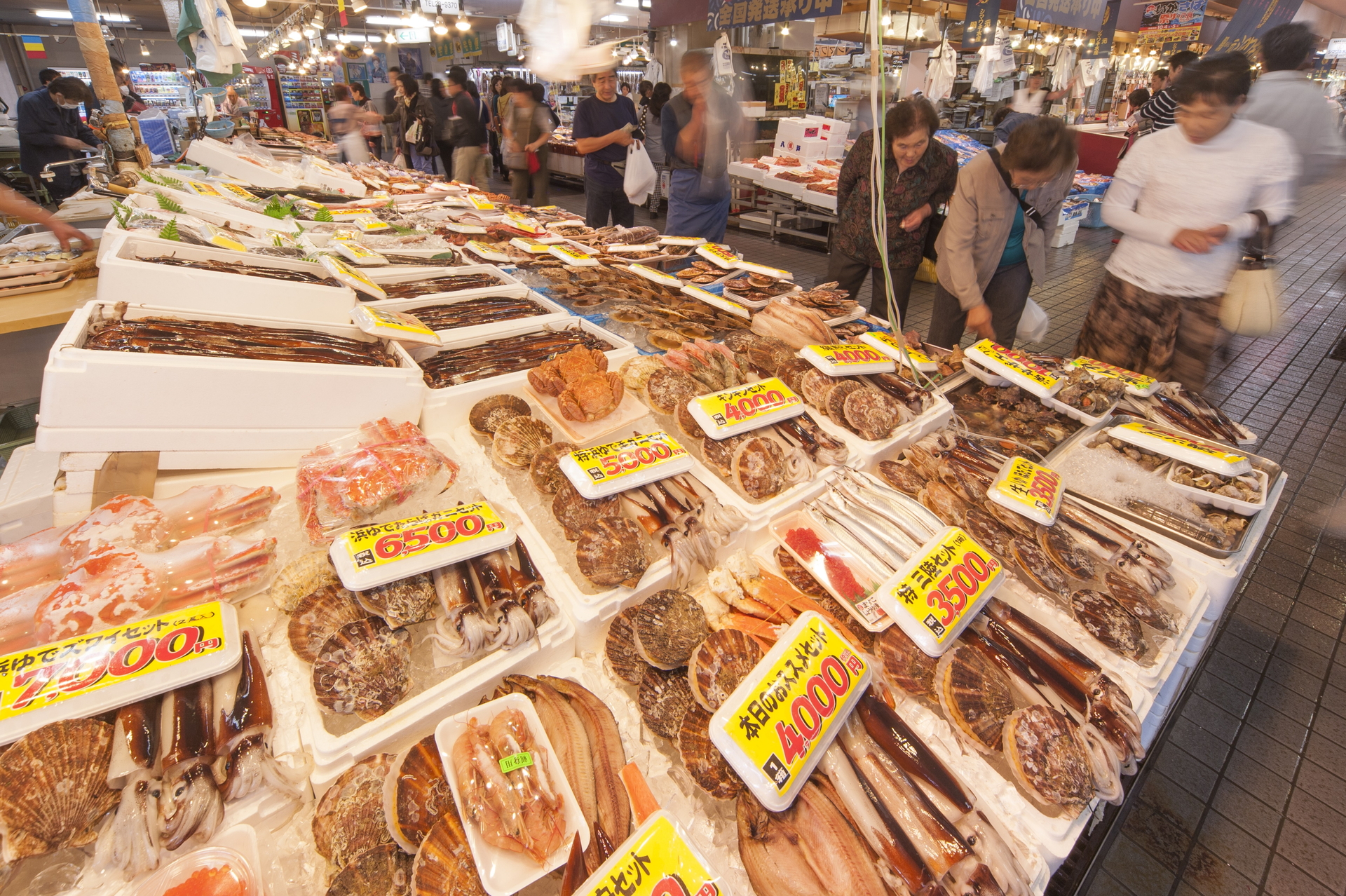 北の風土が育む八戸の食を堪能！旬の魚介を楽しむ「海鮮丼」の昼食と「八戸酒造」試飲付き酒蔵見学（八戸駅発着、大人1名1万2800円）