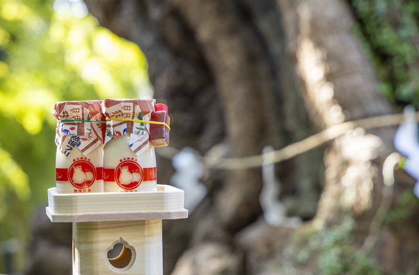 熱海の定番スイーツやお土産として人気の「熱海プリン」。熱海銀座商店街や来宮駅前などに店舗を構える